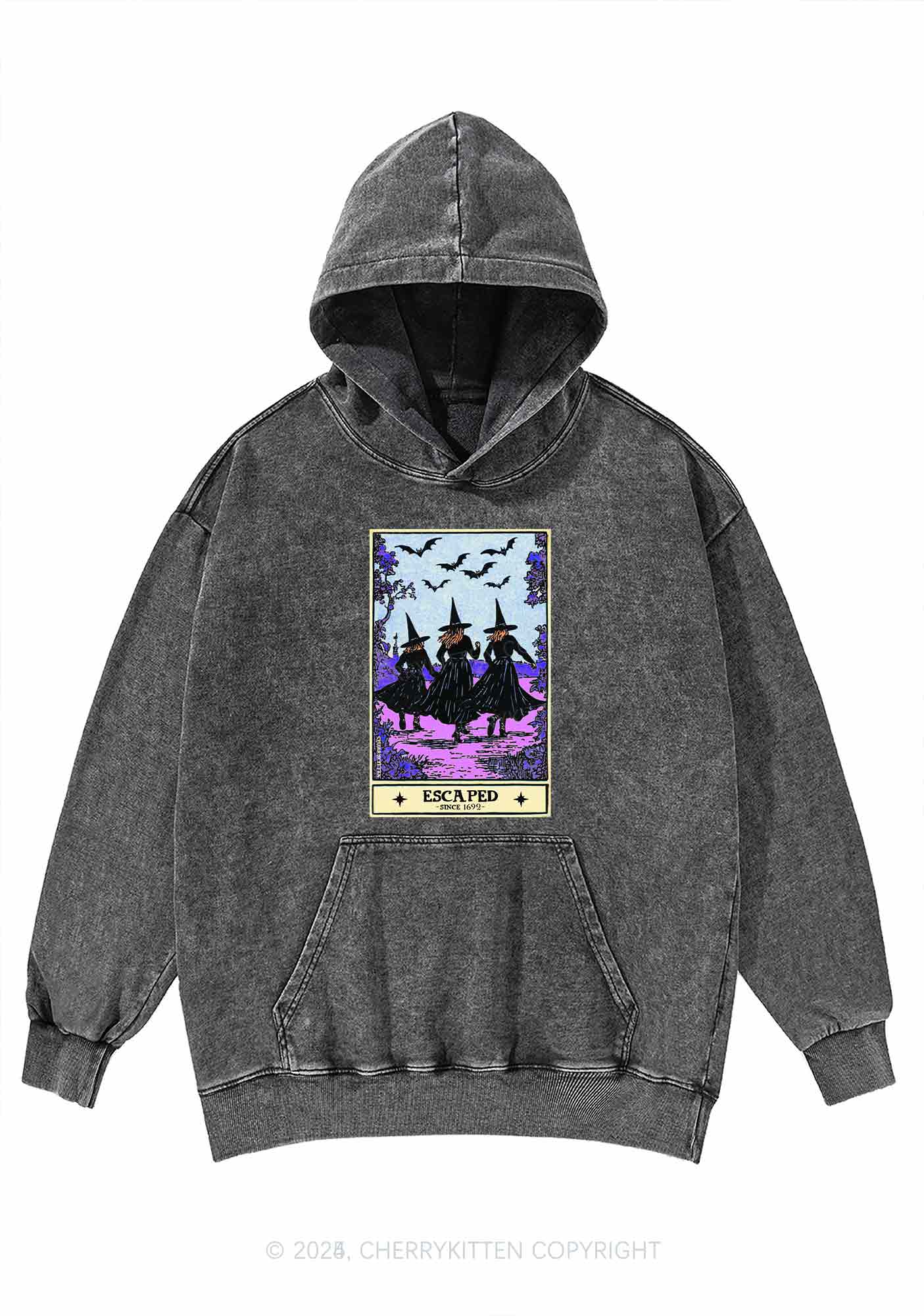 Halloween Escaped Witch Y2K Washed Hoodie Cherrykitten