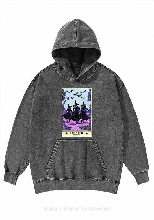 Halloween Escaped Witch Y2K Washed Hoodie Cherrykitten
