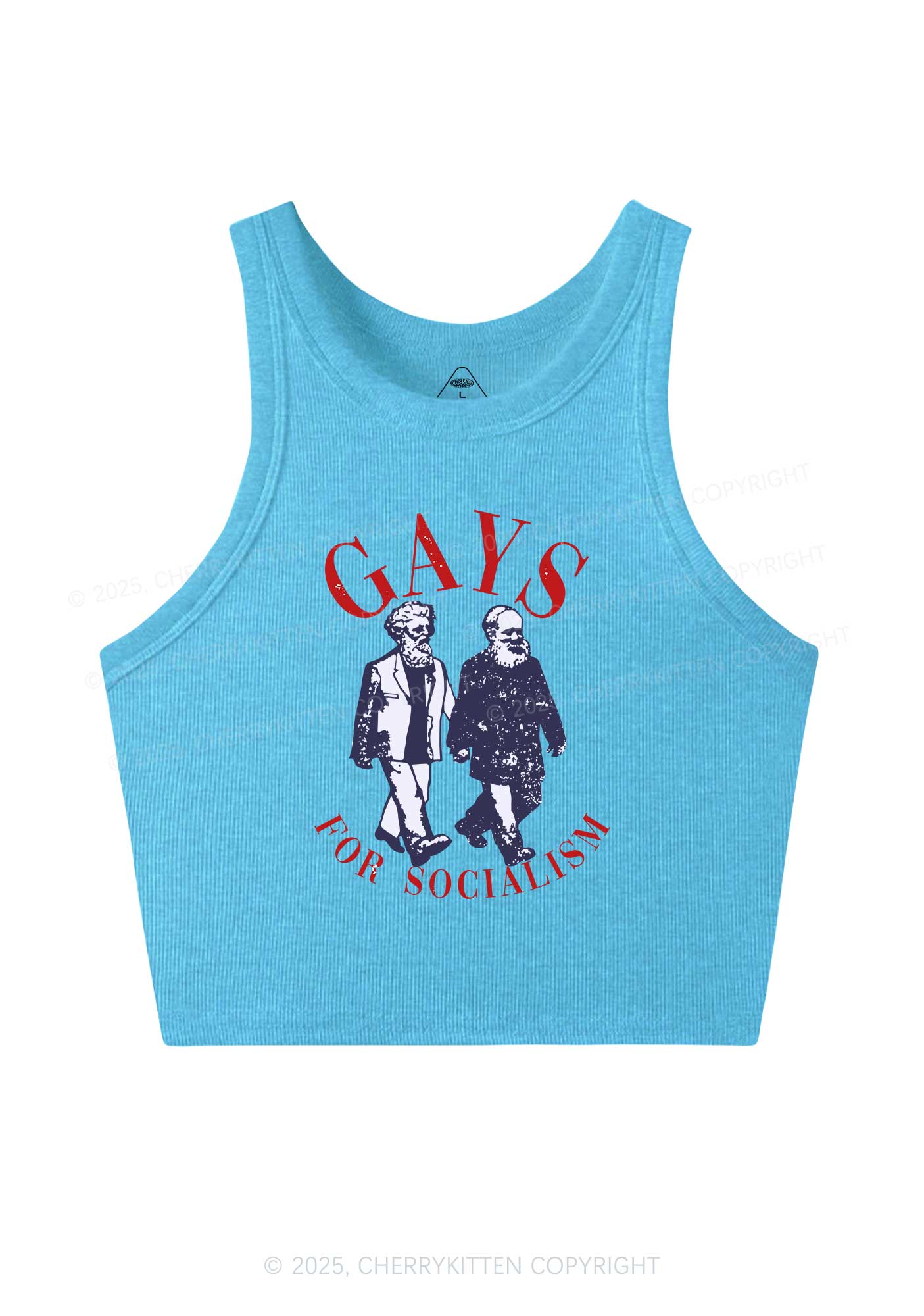 Gays For Socialism Pride Y2K Crop Tank Top Cherrykitten