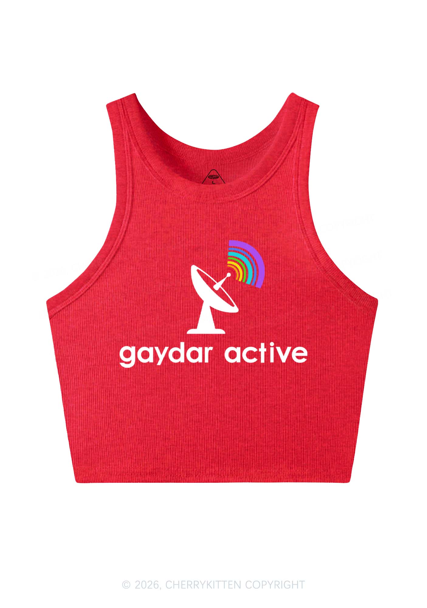 Gaydar Active Pride Y2K Crop Tank Top Cherrykitten