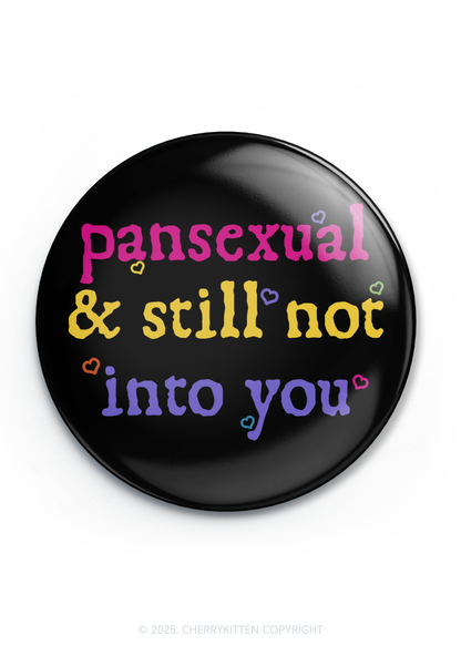 Pansexual Still Not Into You Pride 1Pc Y2K Pin Badge Cherrykitten