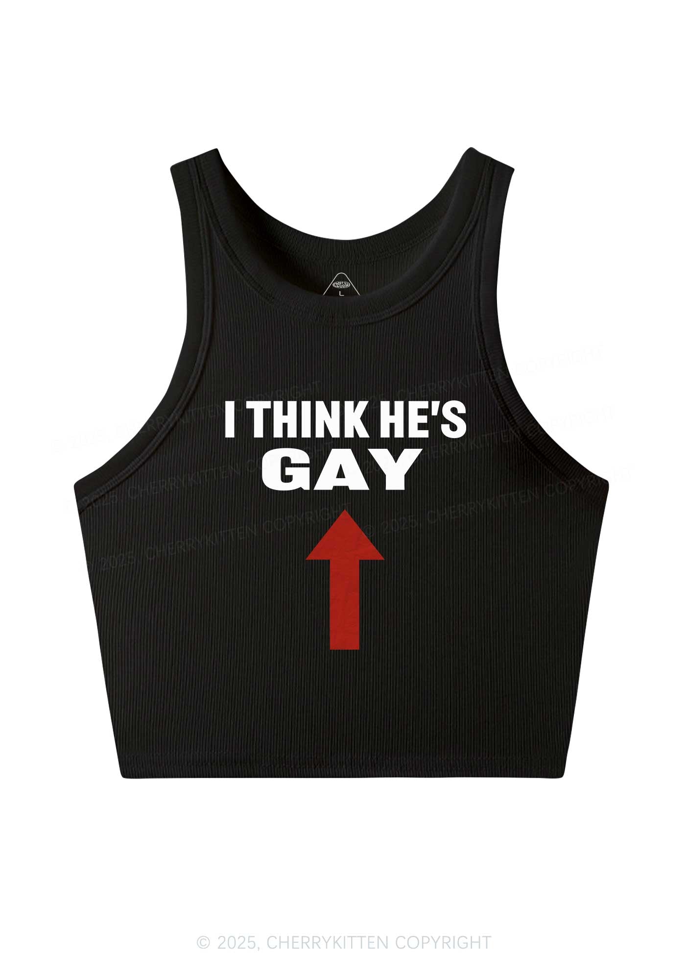 He Is Gay Y2K Crop Tank Top Cherrykitten