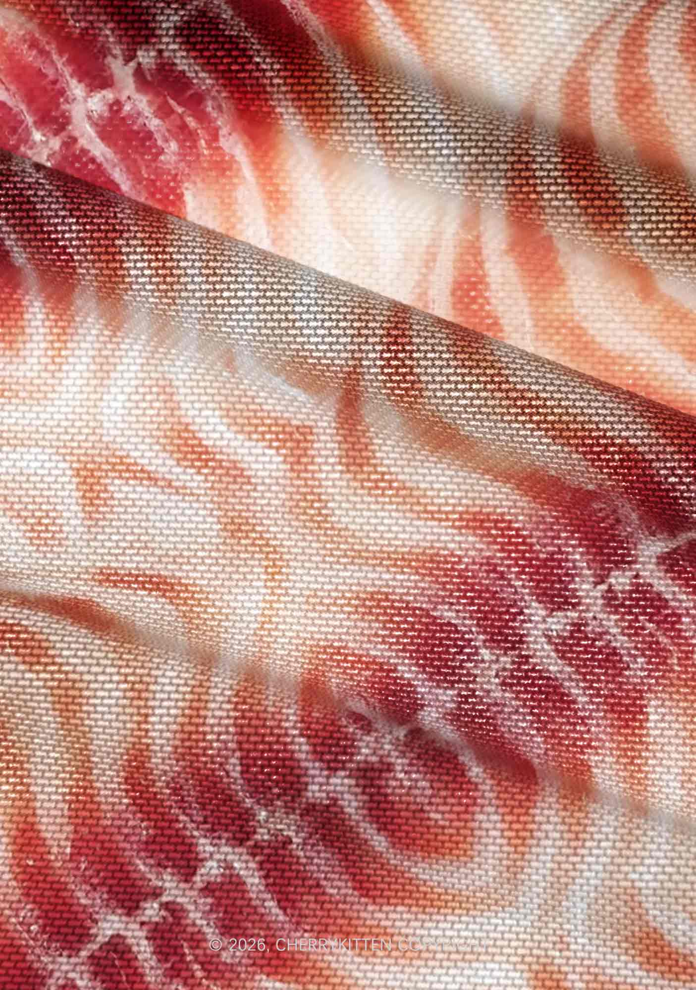 Pork Belly Texture Y2K Mesh Ruched  Waist  V Neck Top Cherrykitten
