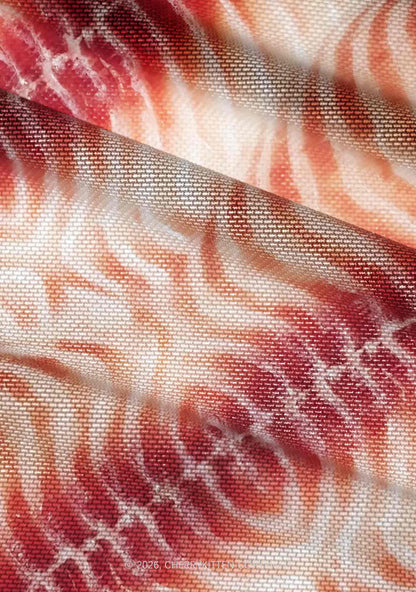 Pork Belly Texture Y2K Mesh Ruched  Waist  V Neck Top Cherrykitten