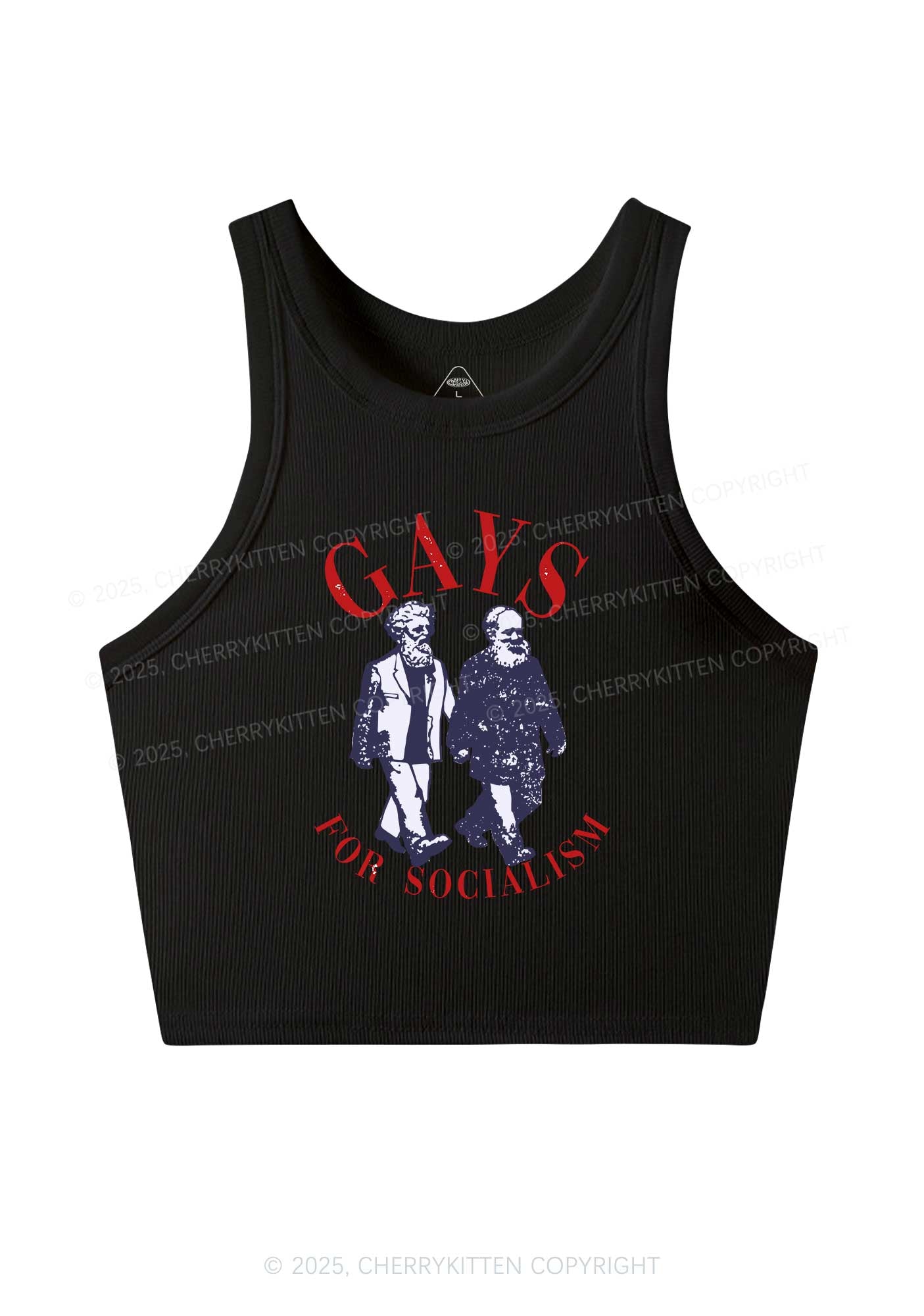 Gays For Socialism Pride Y2K Crop Tank Top Cherrykitten