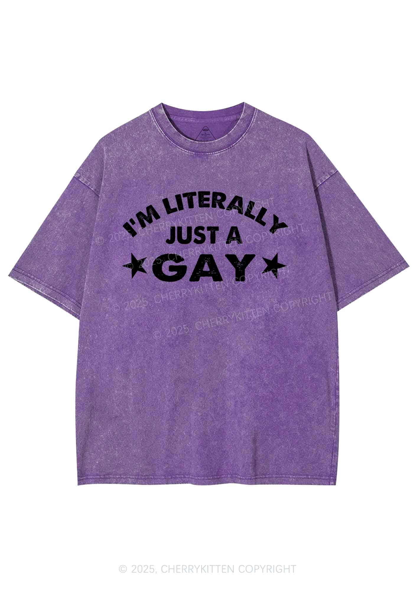 Literally Just A Gay Pride Y2K Shirts Washed Tee Cherrykitten