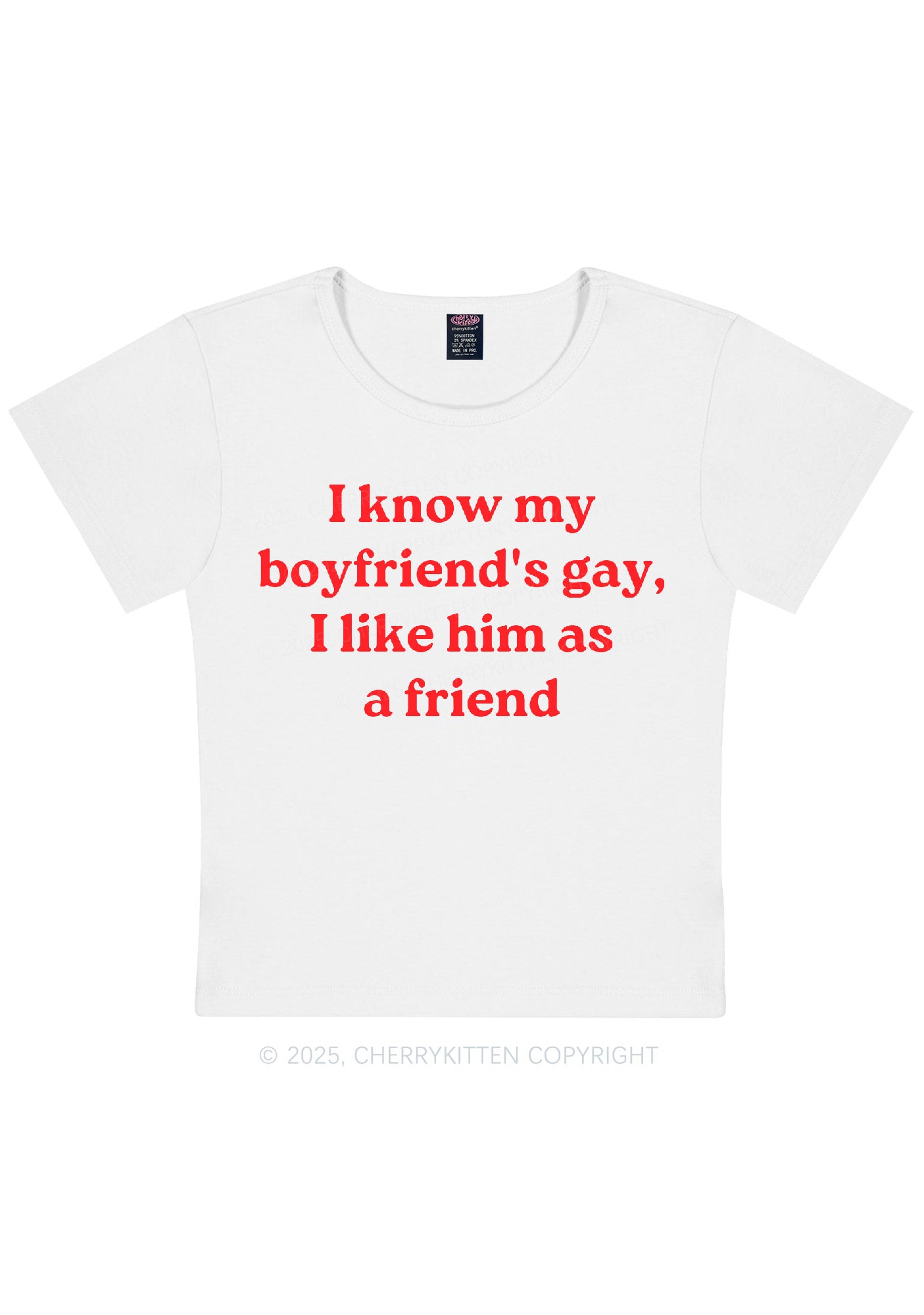 I Know My BF Is Gay Pride Y2K Baby Tee Cherrykitten