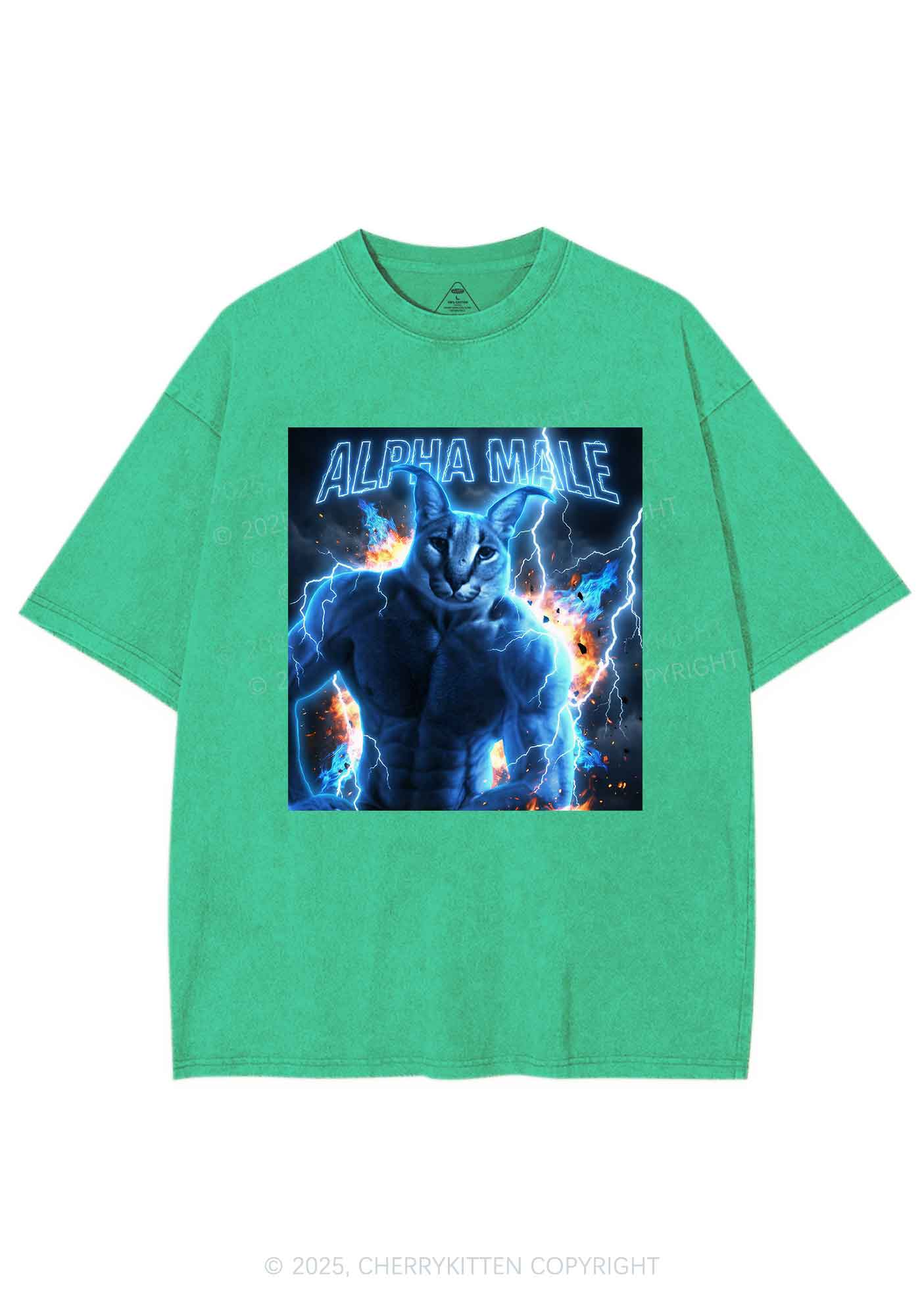 Alpha Male Floppa Y2K Shirts Washed Tee Cherrykitten