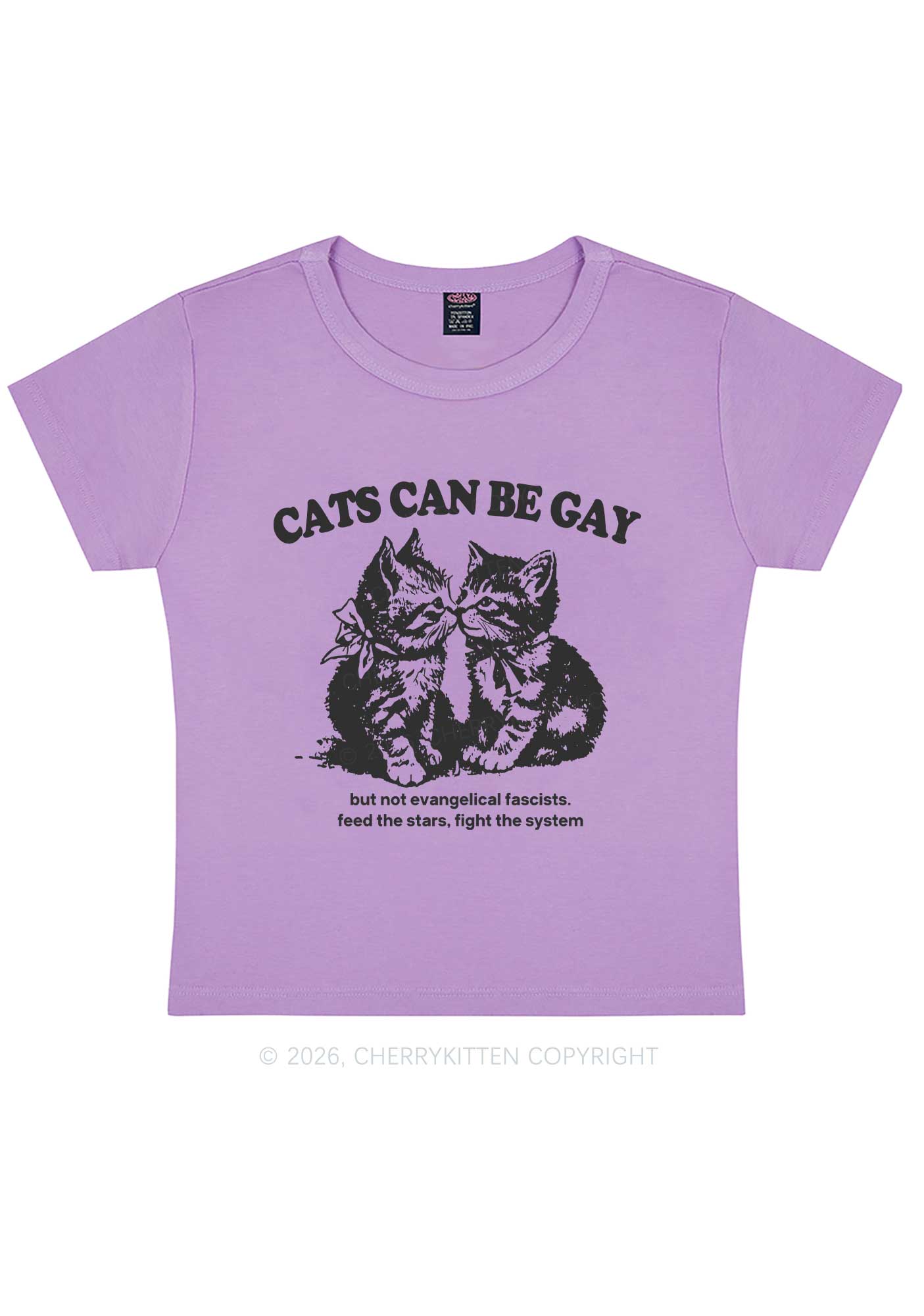 Cat Can Be Gay Pride Y2K Baby Tee Cherrykitten