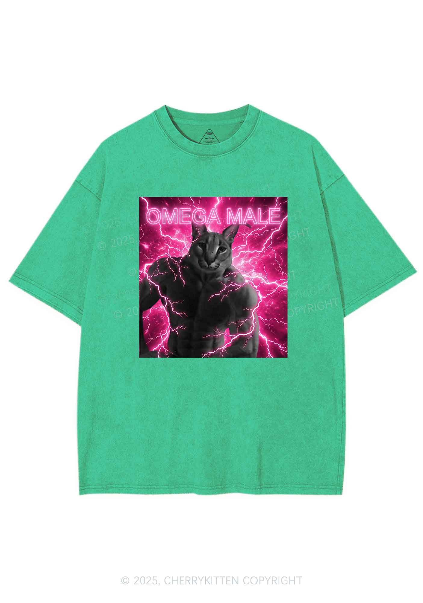 Omega Male Y2K Shirts Washed Tee Cherrykitten