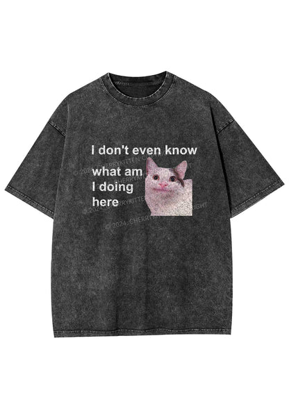 What Am I Doing Here Y2K Washed Tee Cherrykitten