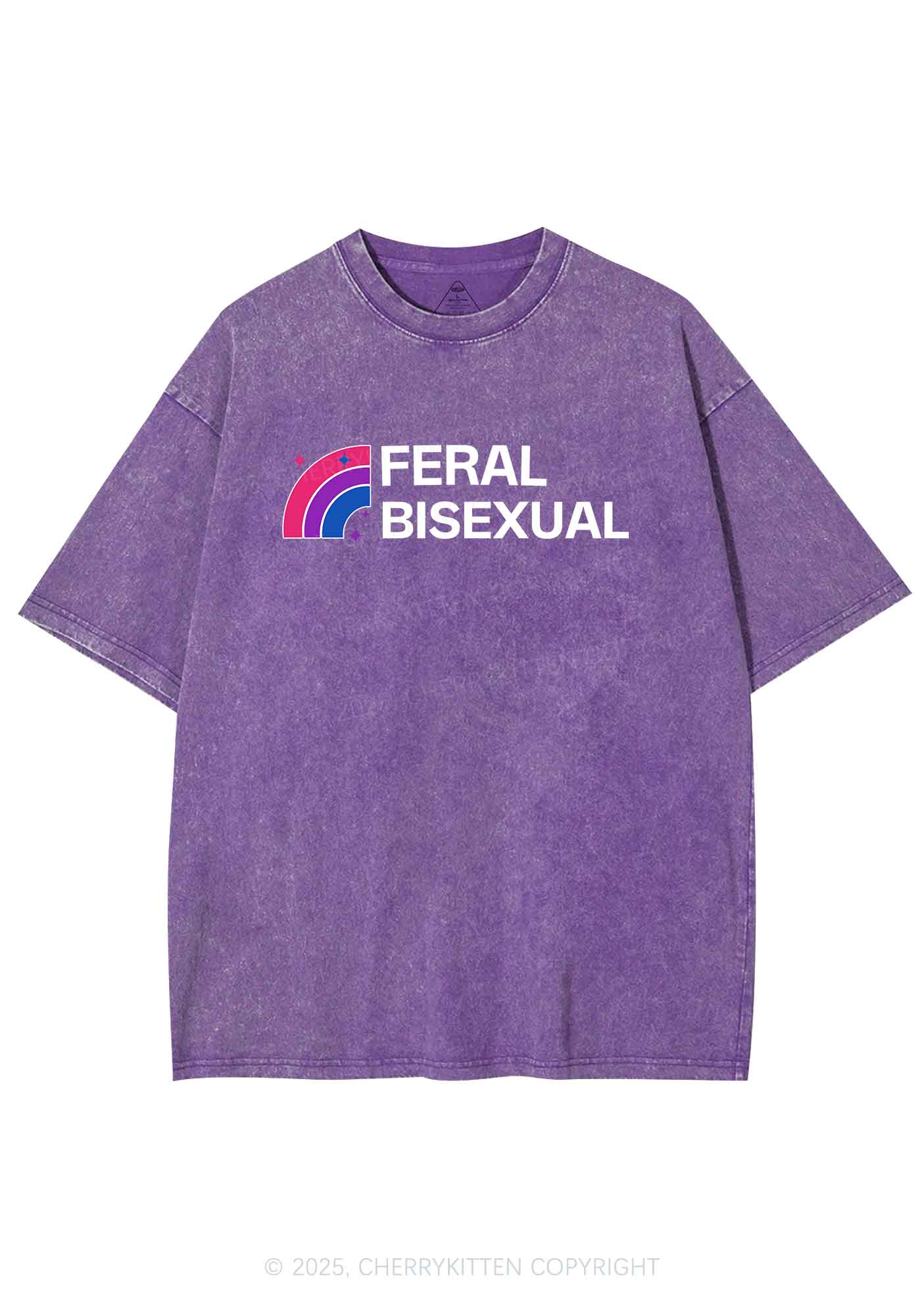 Feral Bisexual Pride Y2K Shirts Washed Tee Cherrykitten