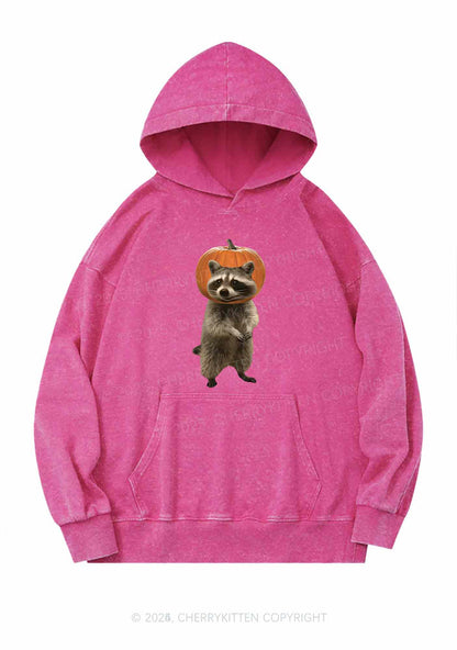 Halloween Silly Raccoon Y2K Washed Hoodie Cherrykitten