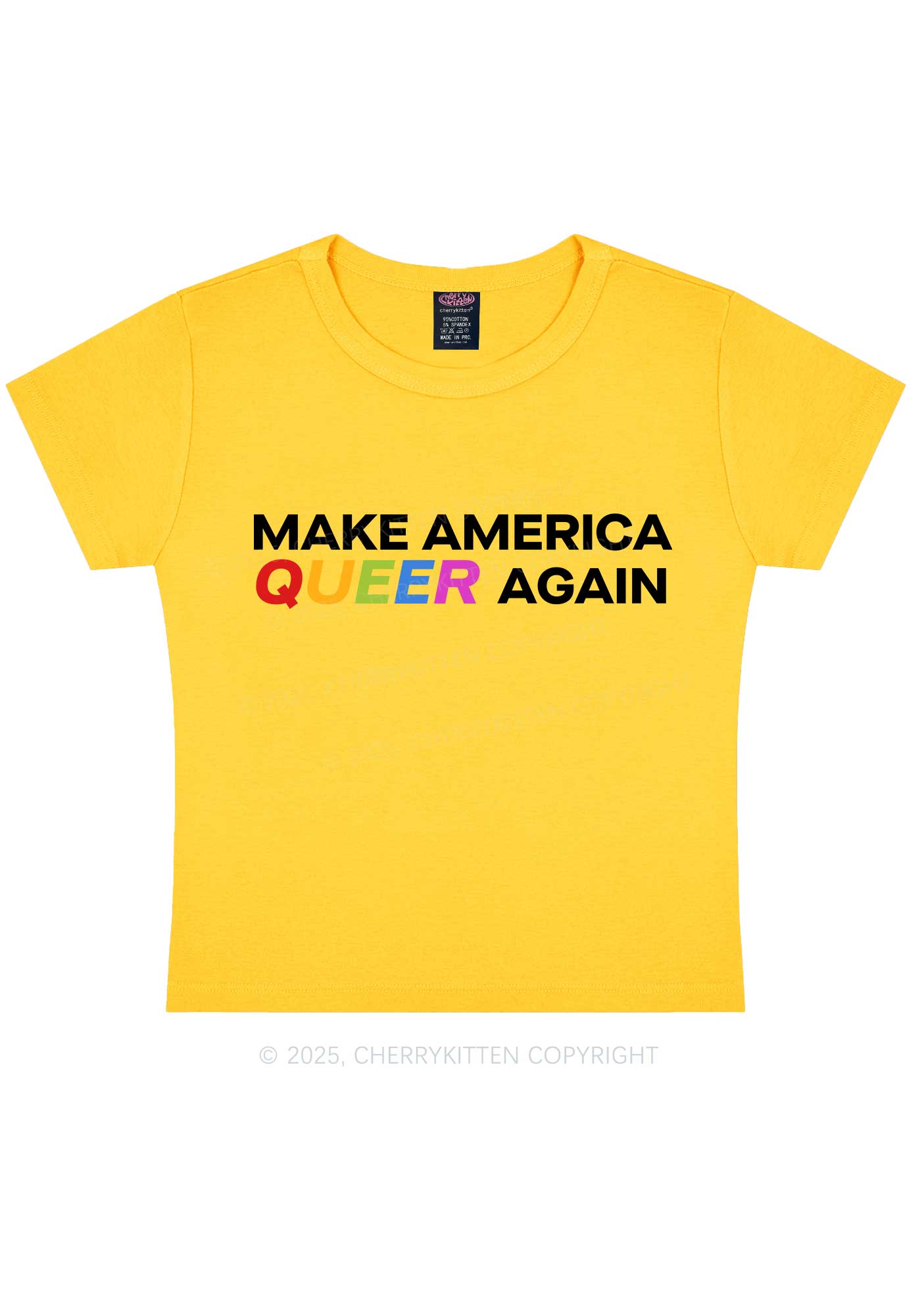 Make America Queer Again Pride Y2K Baby Tee Cherrykitten