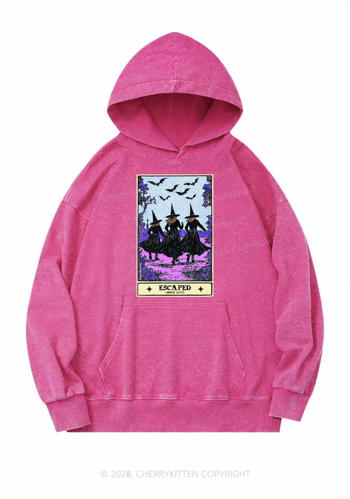 Halloween Escaped Witch Y2K Washed Hoodie Cherrykitten
