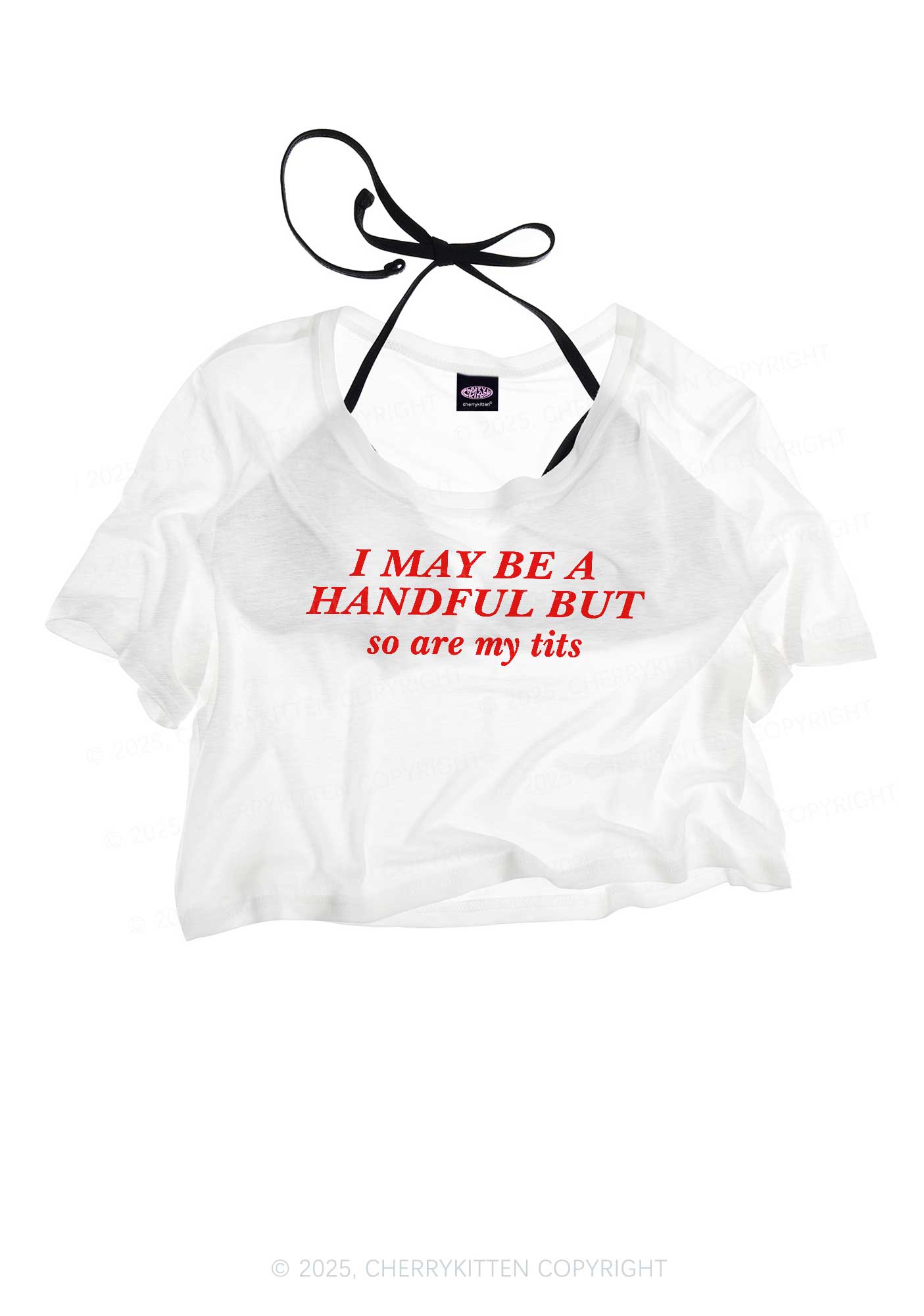 I May Be A Handful Y2K Sheer Crop Tee Cherrykitten