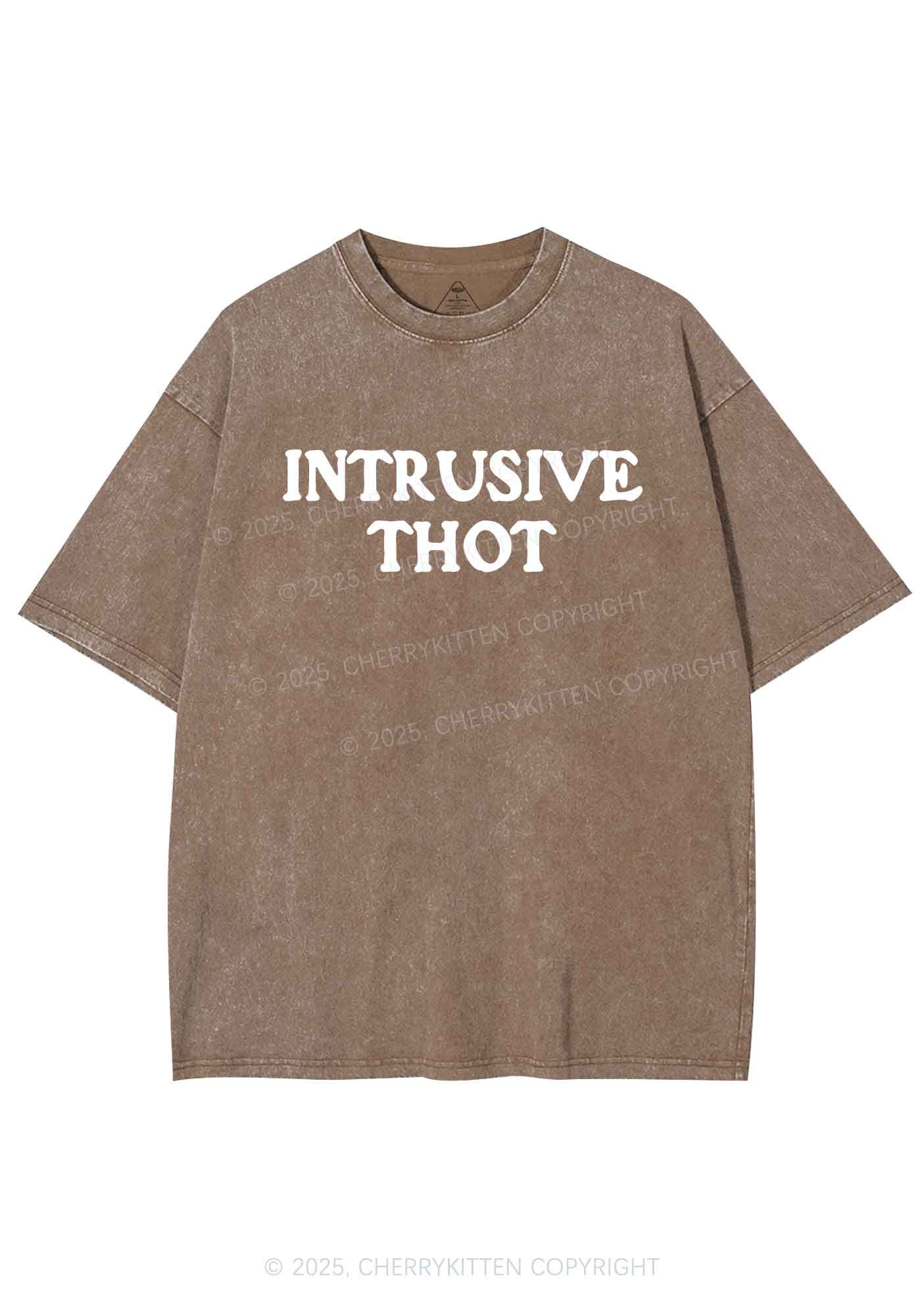 Intrusive Thot Y2K Shirts Washed Tee Cherrykitten