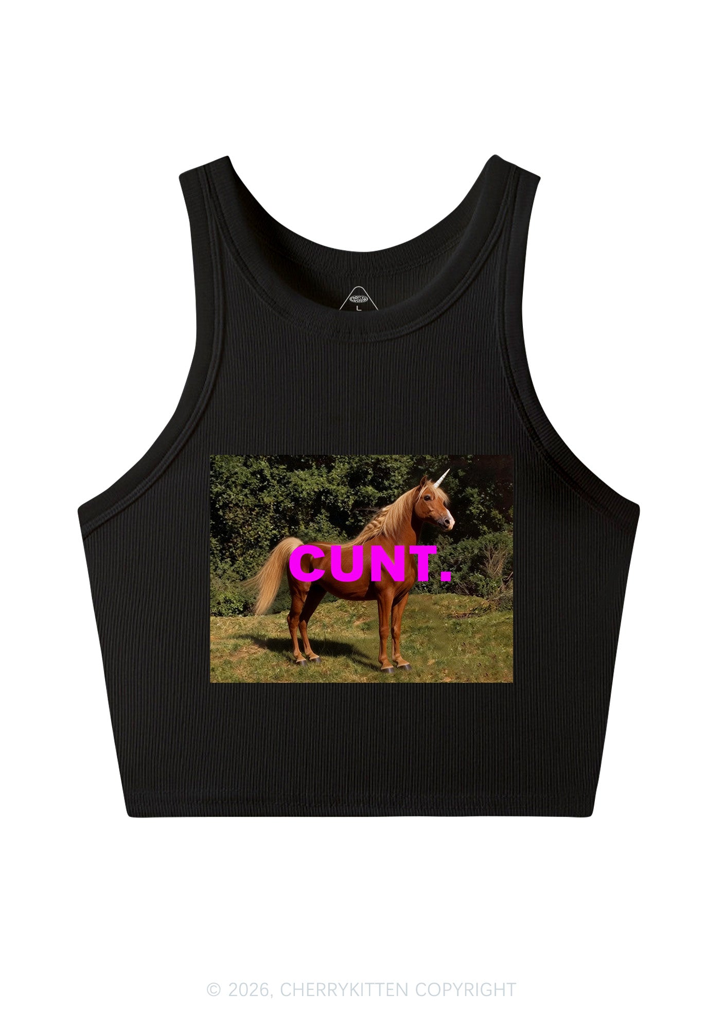 Custom Photo Cxxt Y2K Crop Tank Top Cherrykitten