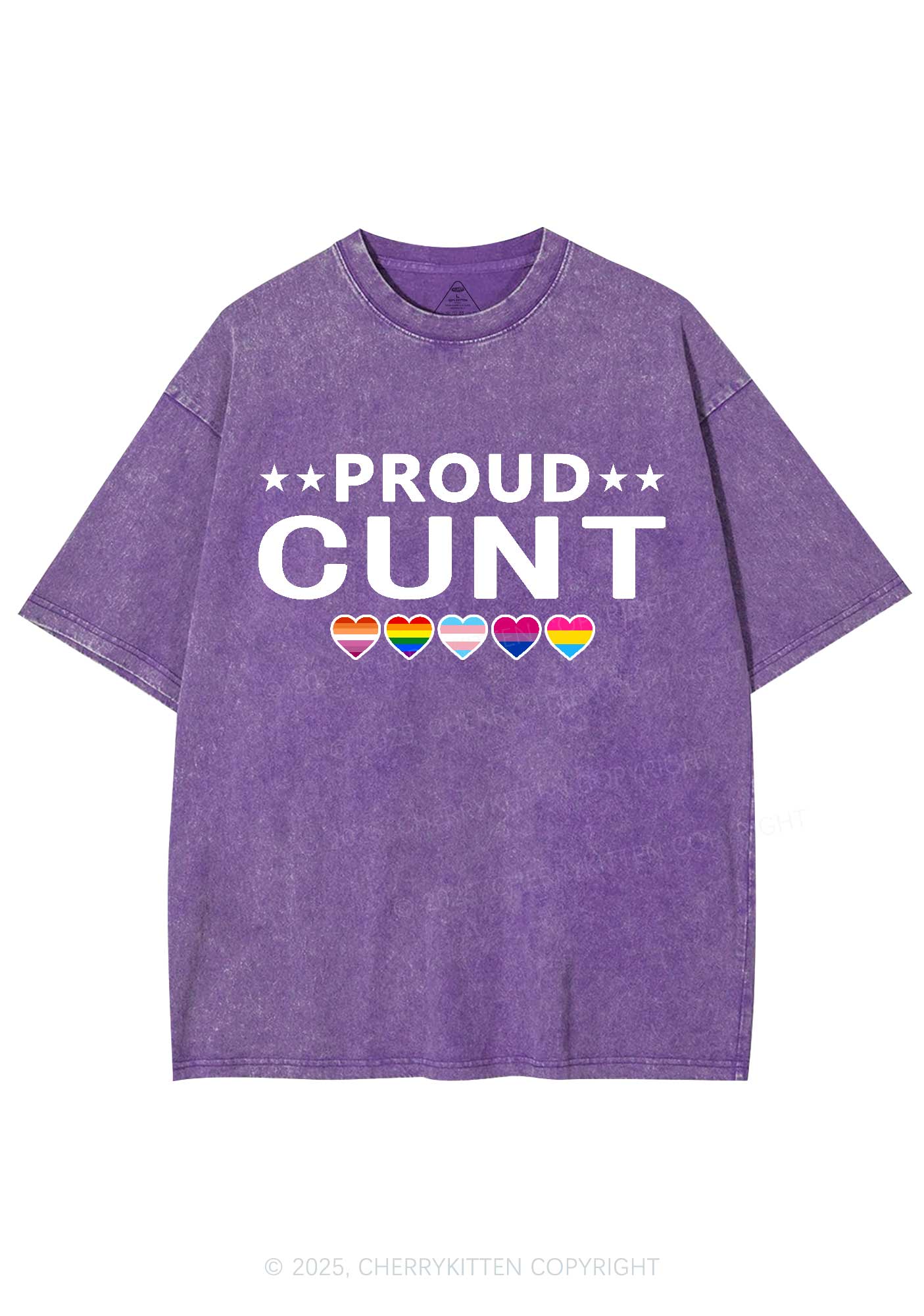 Proud Cxxt Pride Y2K Shirts Washed Tee Cherrykitten
