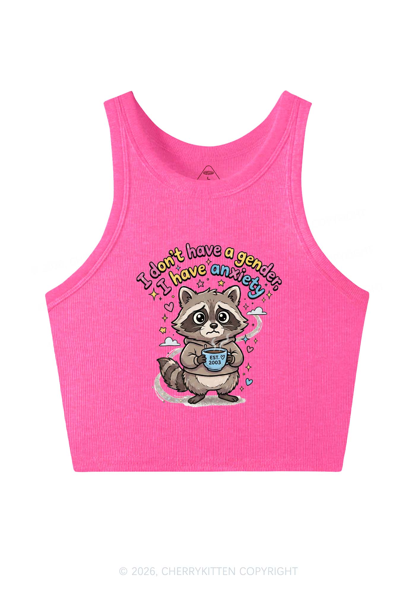 Raccoon I dont Have A Gender Pride Y2K Crop Tank Top Cherrykitten