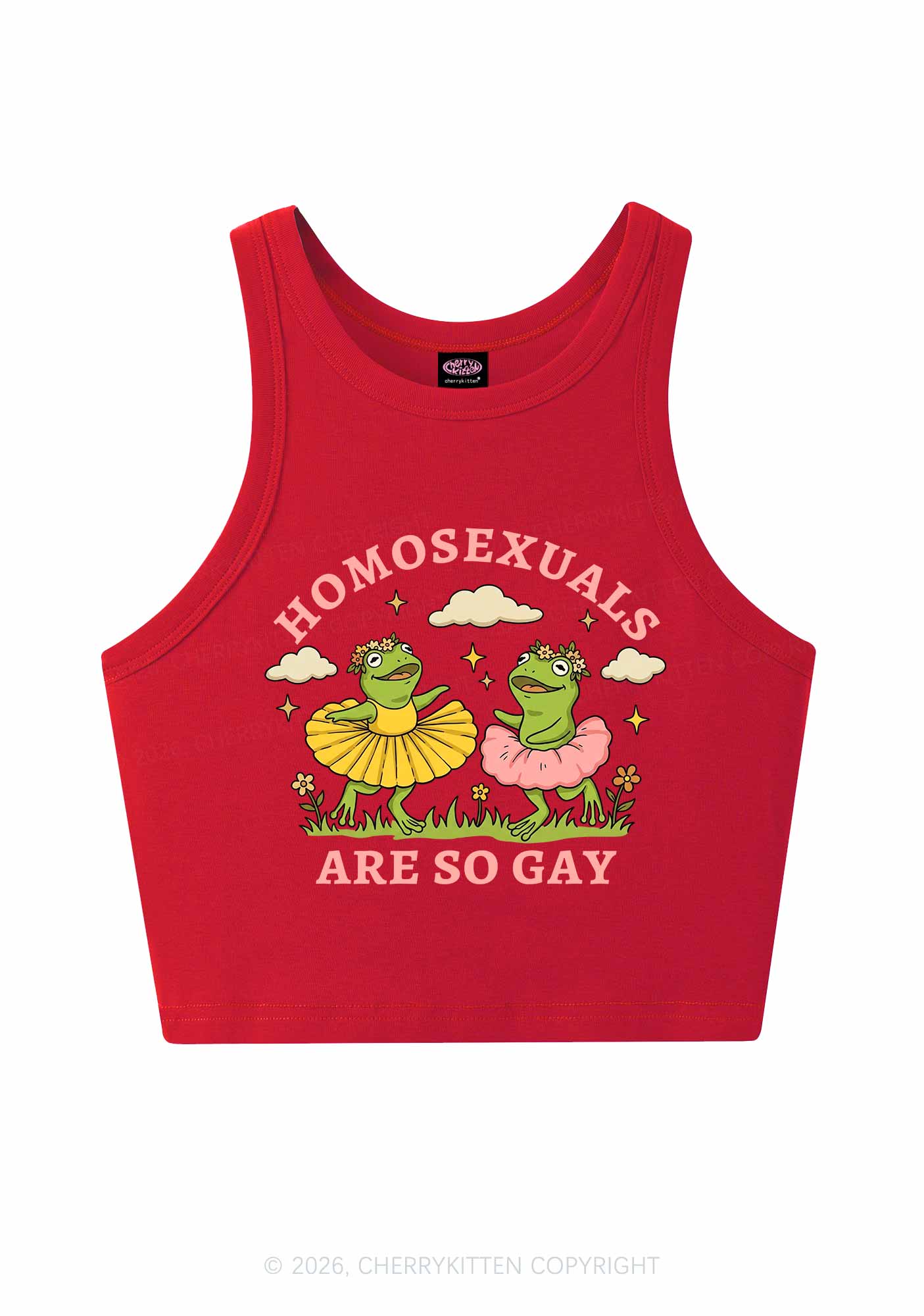 Homosexuals Are So Gay Pride Y2K Crop Tank Top Cherrykitten