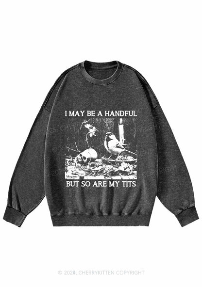 Halloween I May Be A Handful Y2K Washed Sweatshirts Cherrykitten
