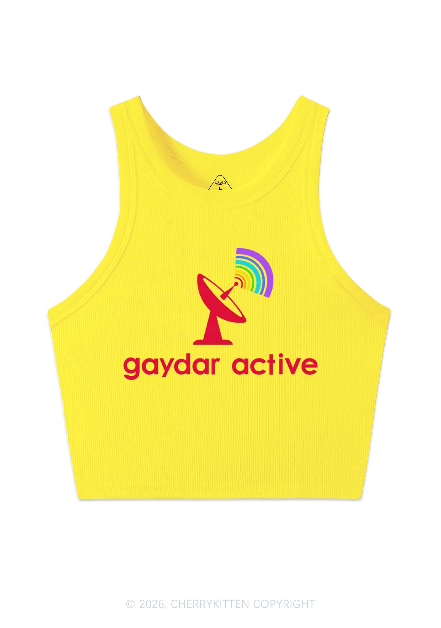 Gaydar Active Pride Y2K Crop Tank Top Cherrykitten