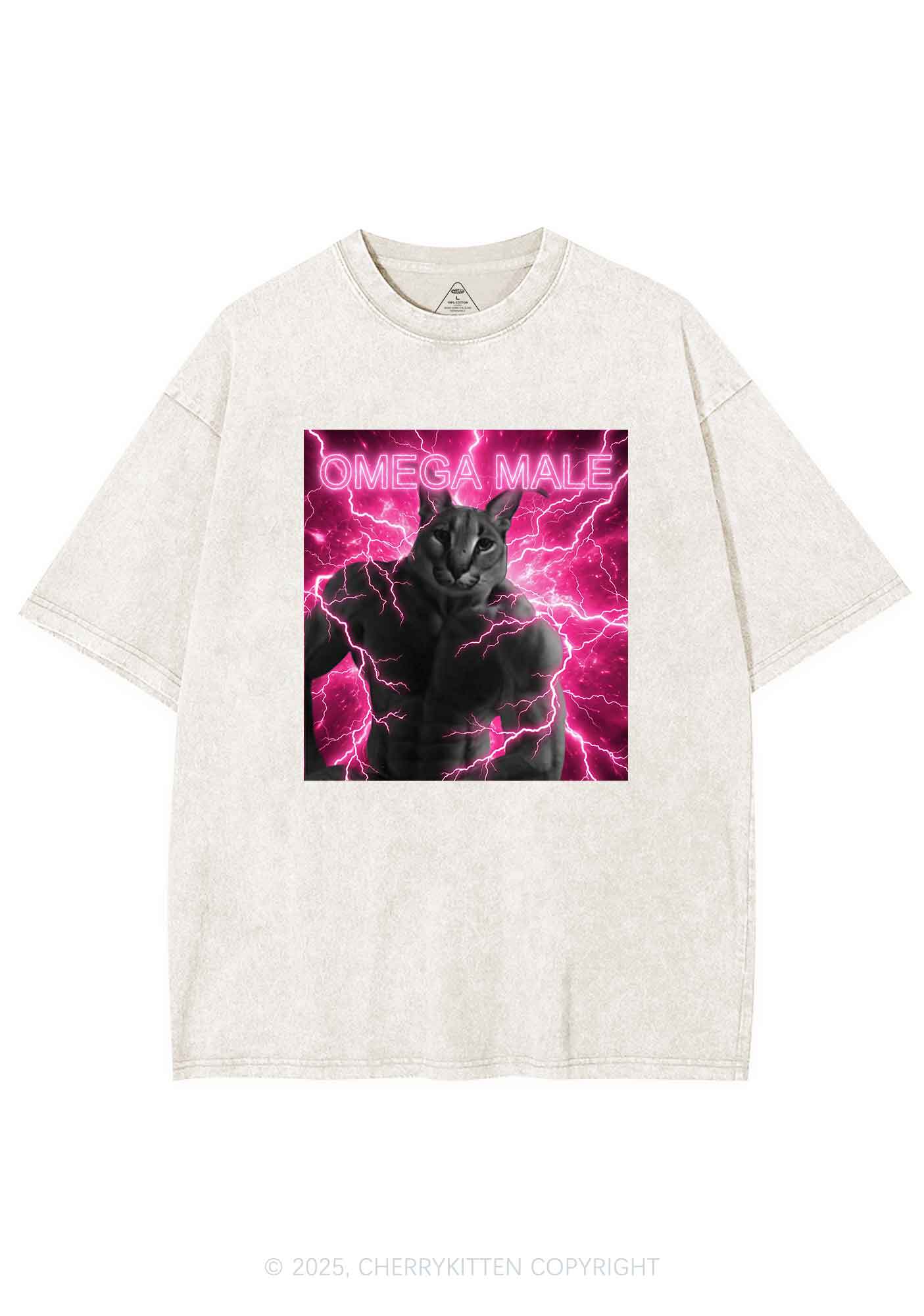 Omega Male Y2K Shirts Washed Tee Cherrykitten