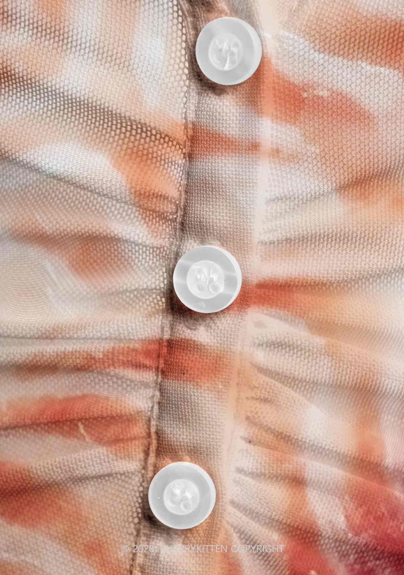 Pork Belly Texture Y2K Mesh Ruched  Waist  V Neck Top Cherrykitten