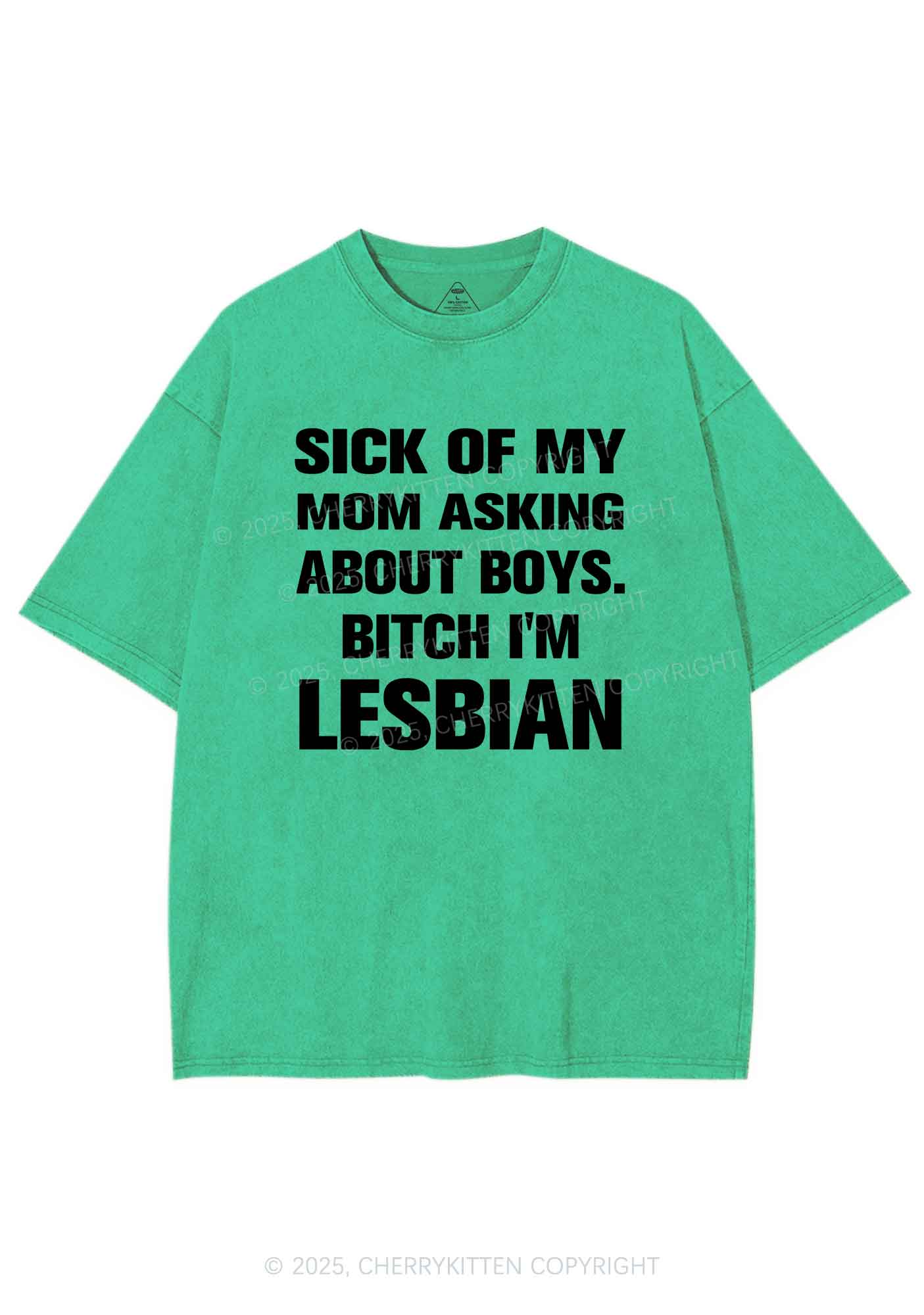 Bxxch Im Lesbian Pride Y2K Shirts Washed Tee Cherrykitten