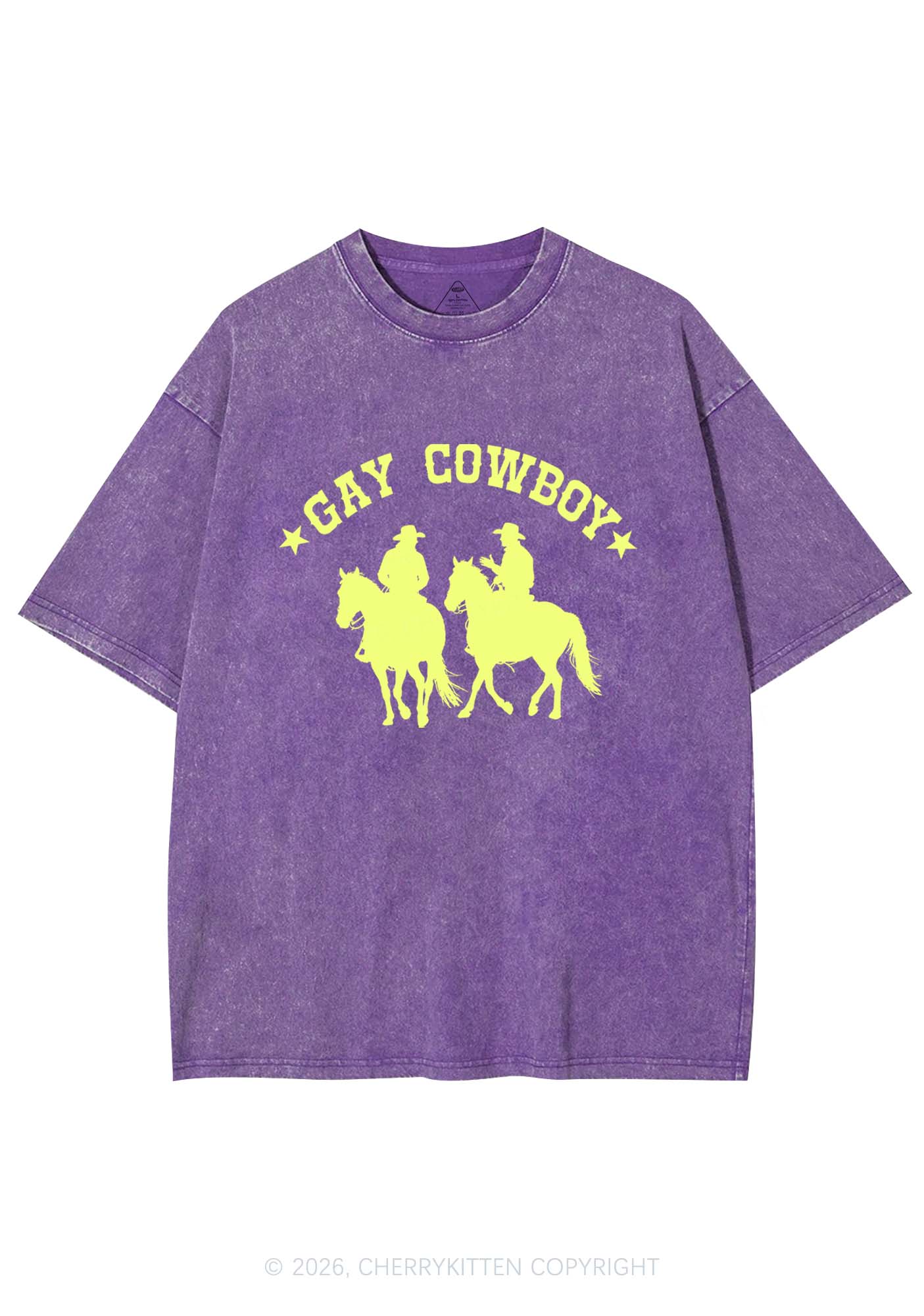 Gay Cowboy Pride Y2K Shirts Washed Tee Cherrykitten