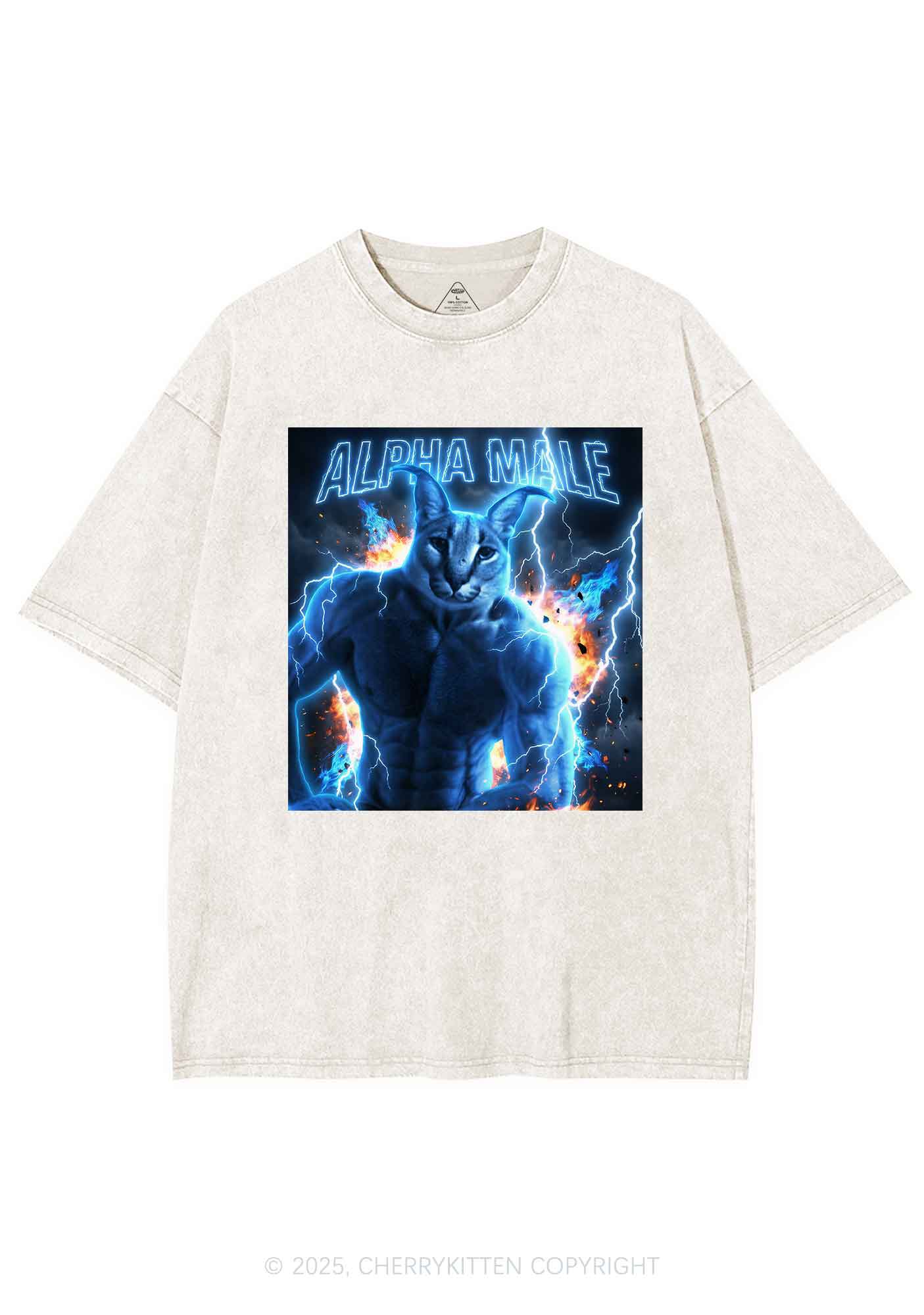 Alpha Male Floppa Y2K Shirts Washed Tee Cherrykitten