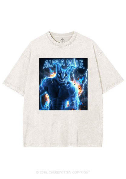 Alpha Male Floppa Y2K Shirts Washed Tee Cherrykitten