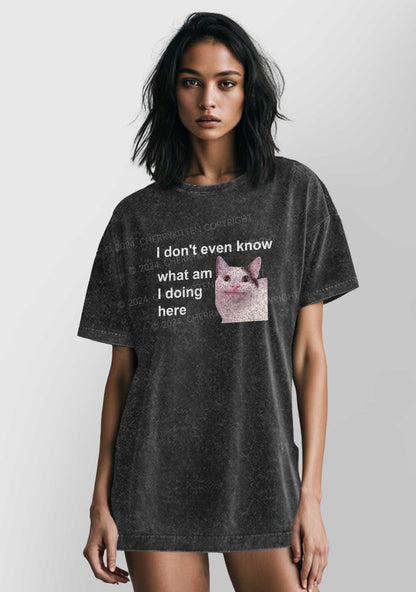 What Am I Doing Here Y2K Washed Tee Cherrykitten