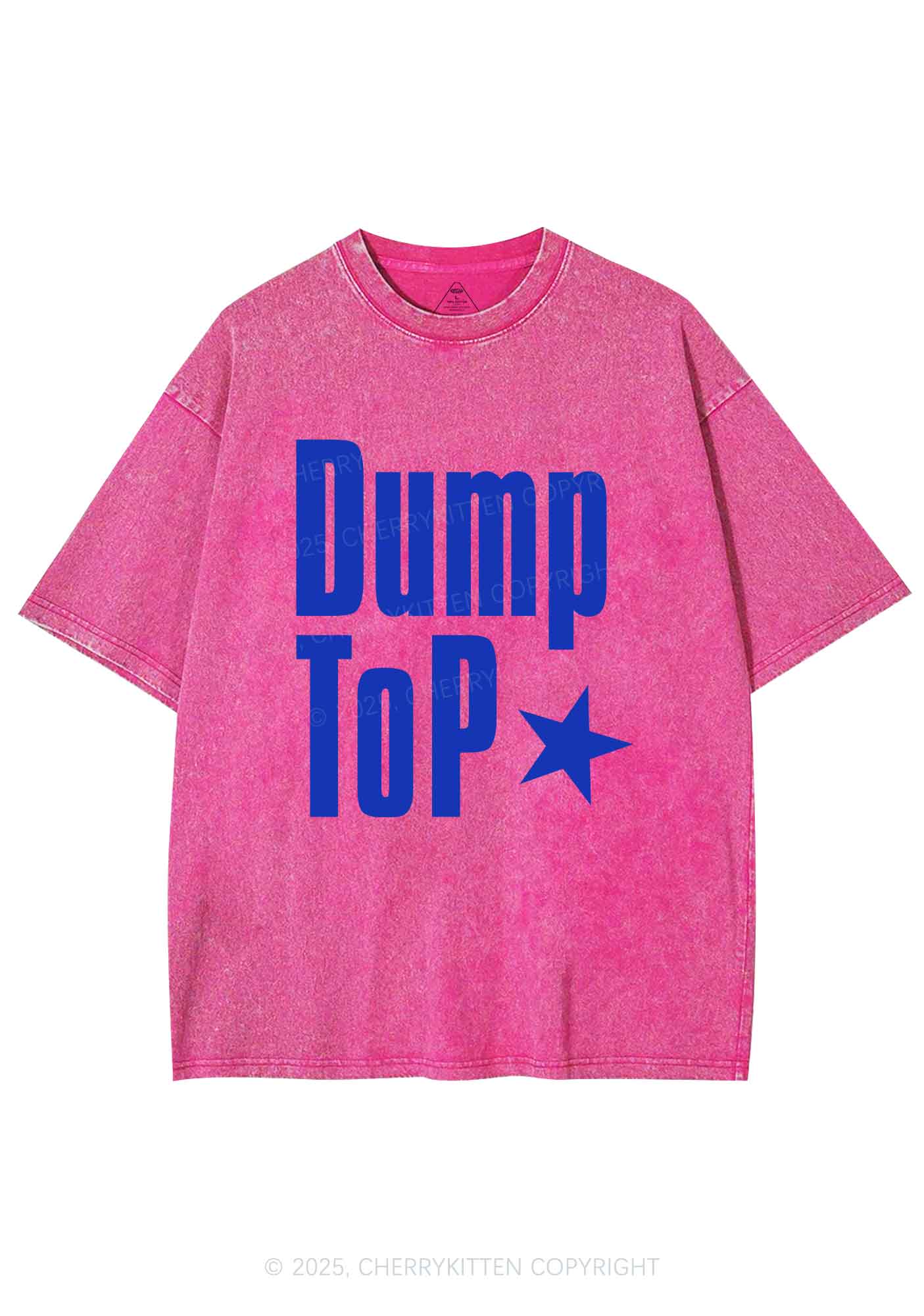 Dump Top Pride Y2K Shirts Washed Tee Cherrykitten