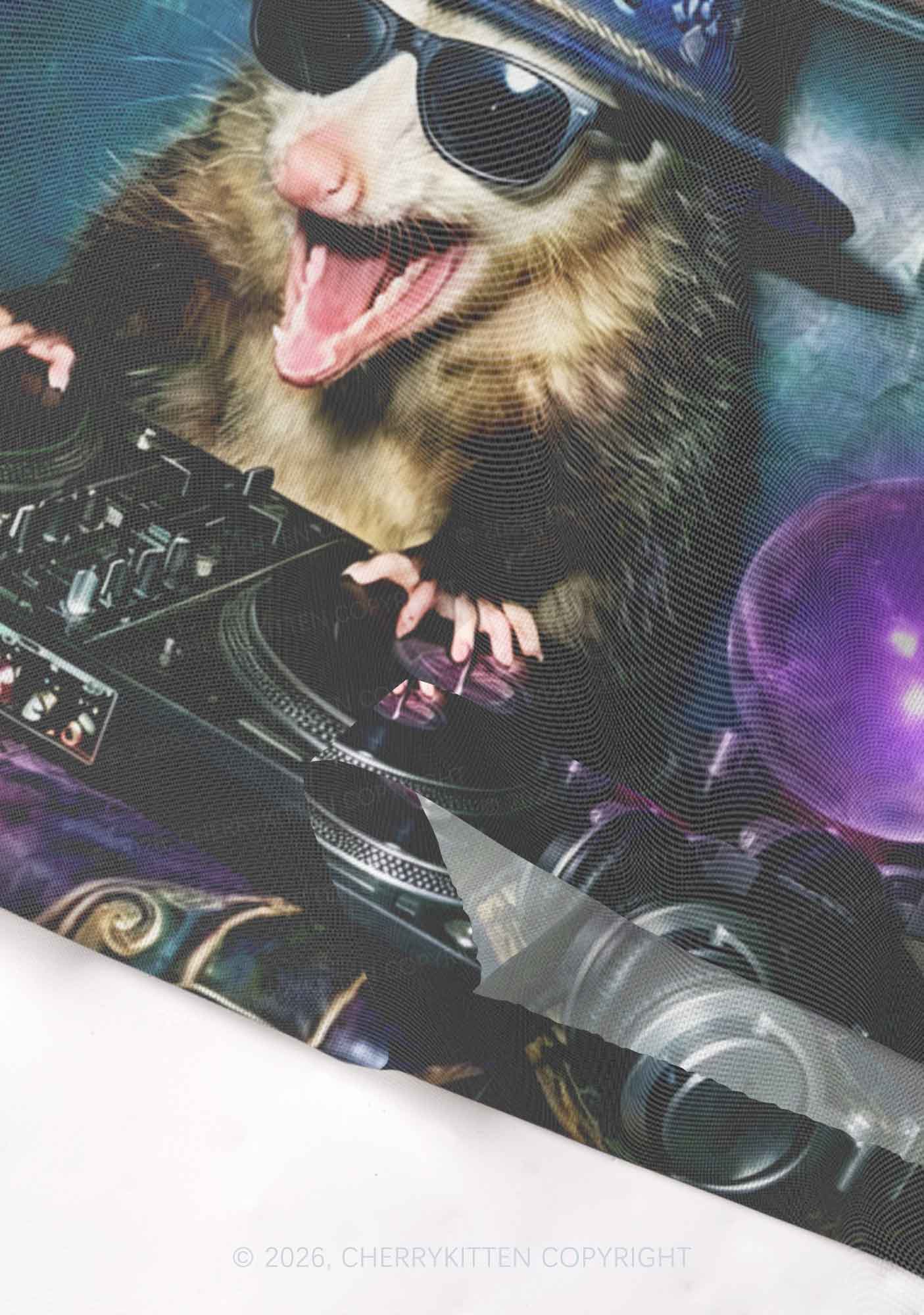 Wizard Opossum DJ Y2K Mesh Crop Top Cherrykitten