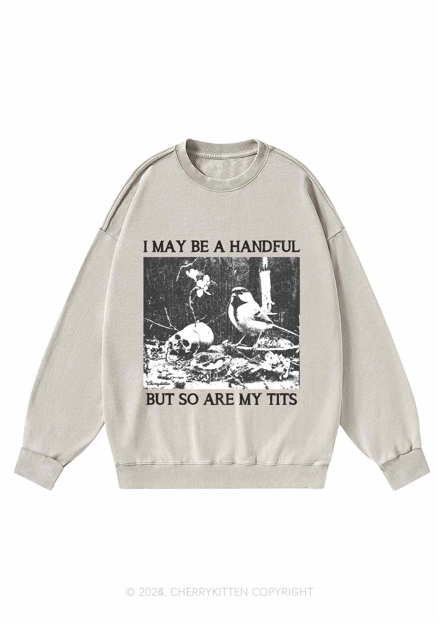 Halloween I May Be A Handful Y2K Washed Sweatshirts Cherrykitten