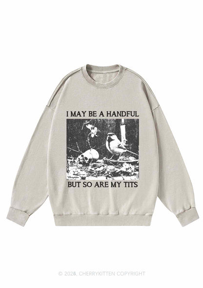 Halloween I May Be A Handful Y2K Washed Sweatshirts Cherrykitten