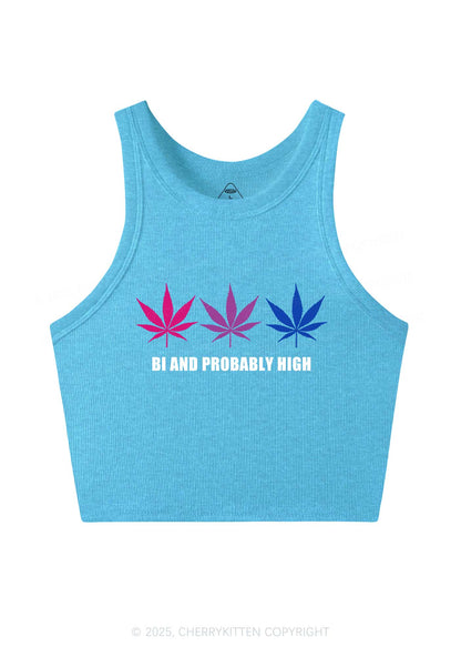 Bi Probably High Pride Y2K Crop Tank Top Cherrykitten