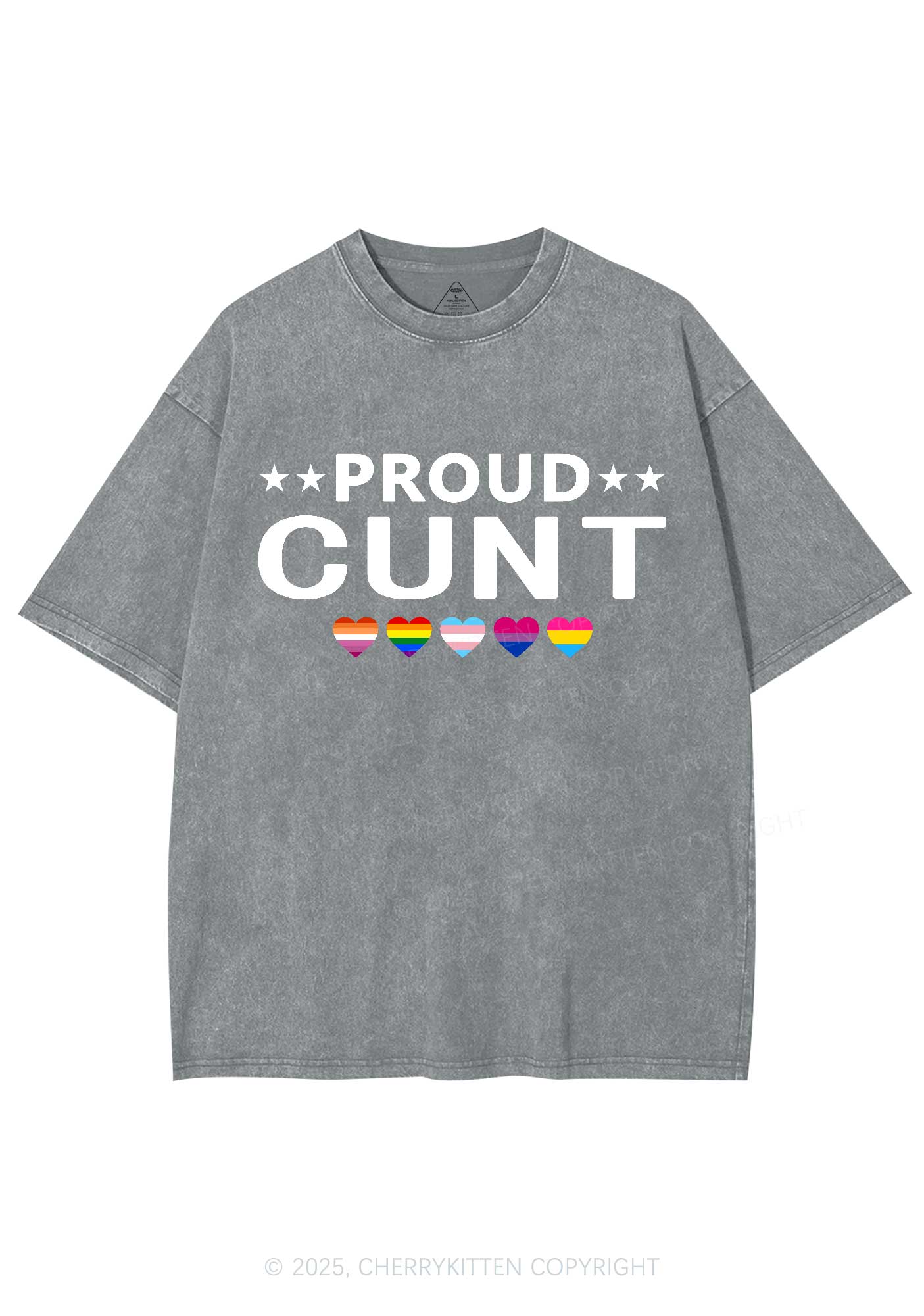 Proud Cxxt Pride Y2K Shirts Washed Tee Cherrykitten