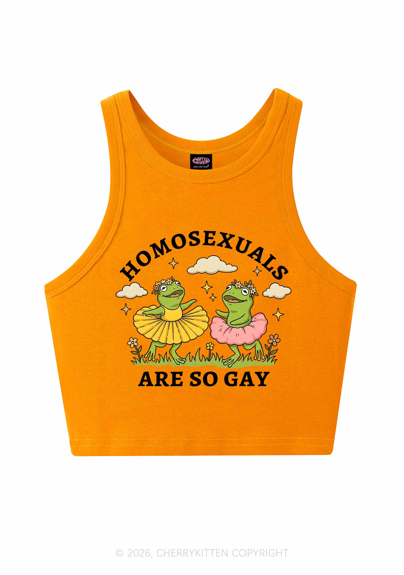 Homosexuals Are So Gay Pride Y2K Crop Tank Top Cherrykitten