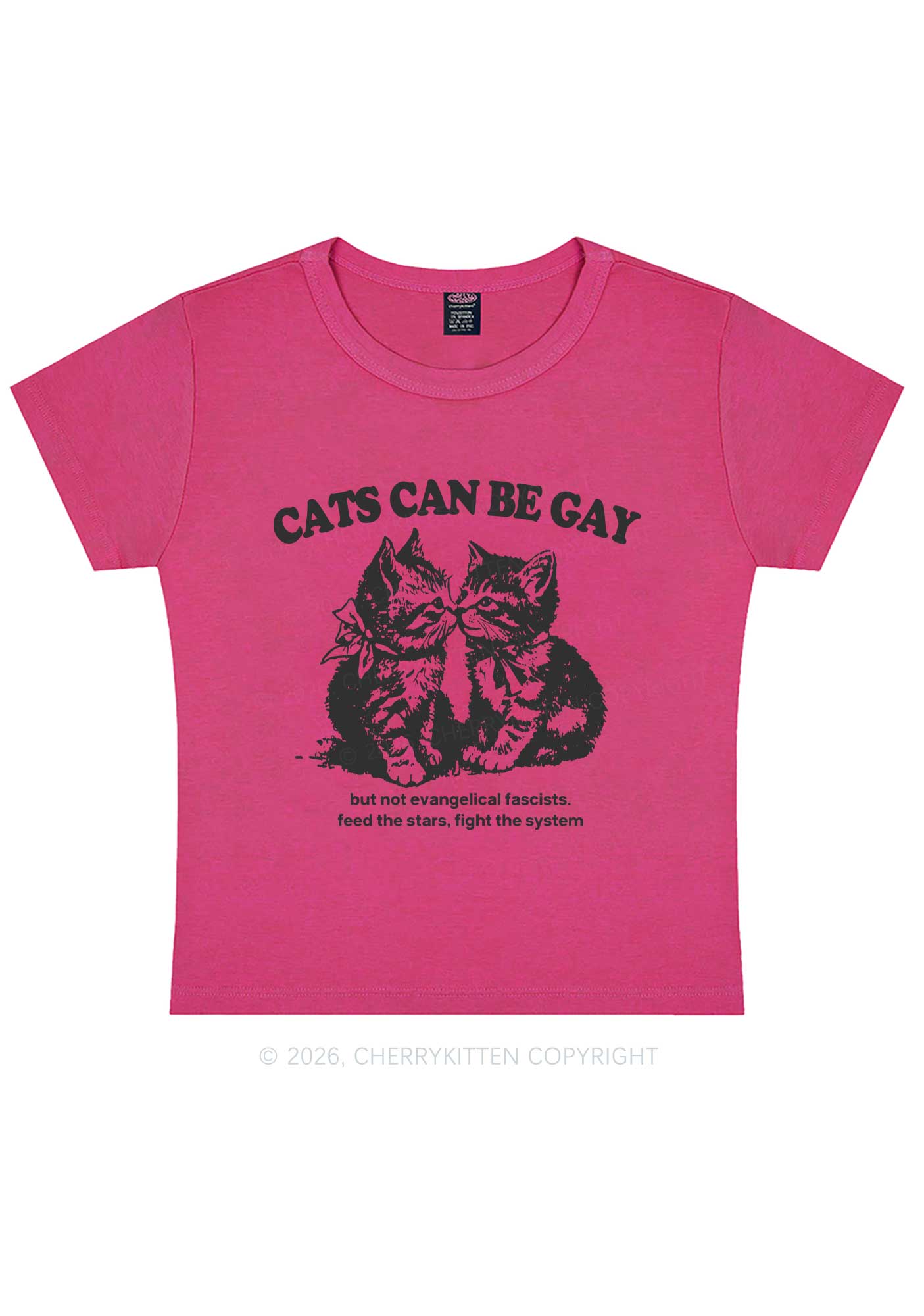 Cat Can Be Gay Pride Y2K Baby Tee Cherrykitten