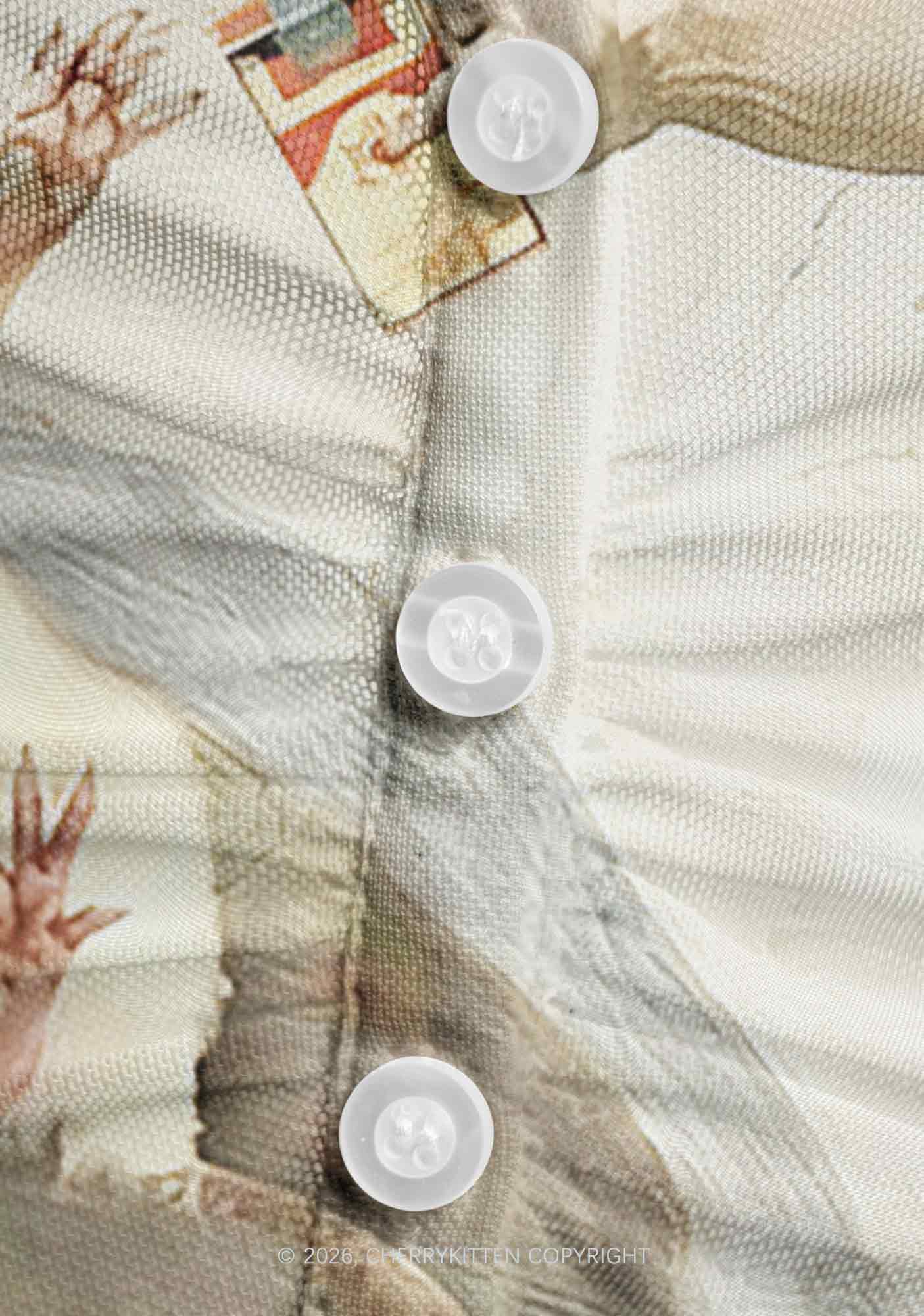 God And Rat Y2K Mesh Ruched? Waist??V Neck?Top Cherrykitten