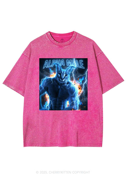 Alpha Male Floppa Y2K Shirts Washed Tee Cherrykitten