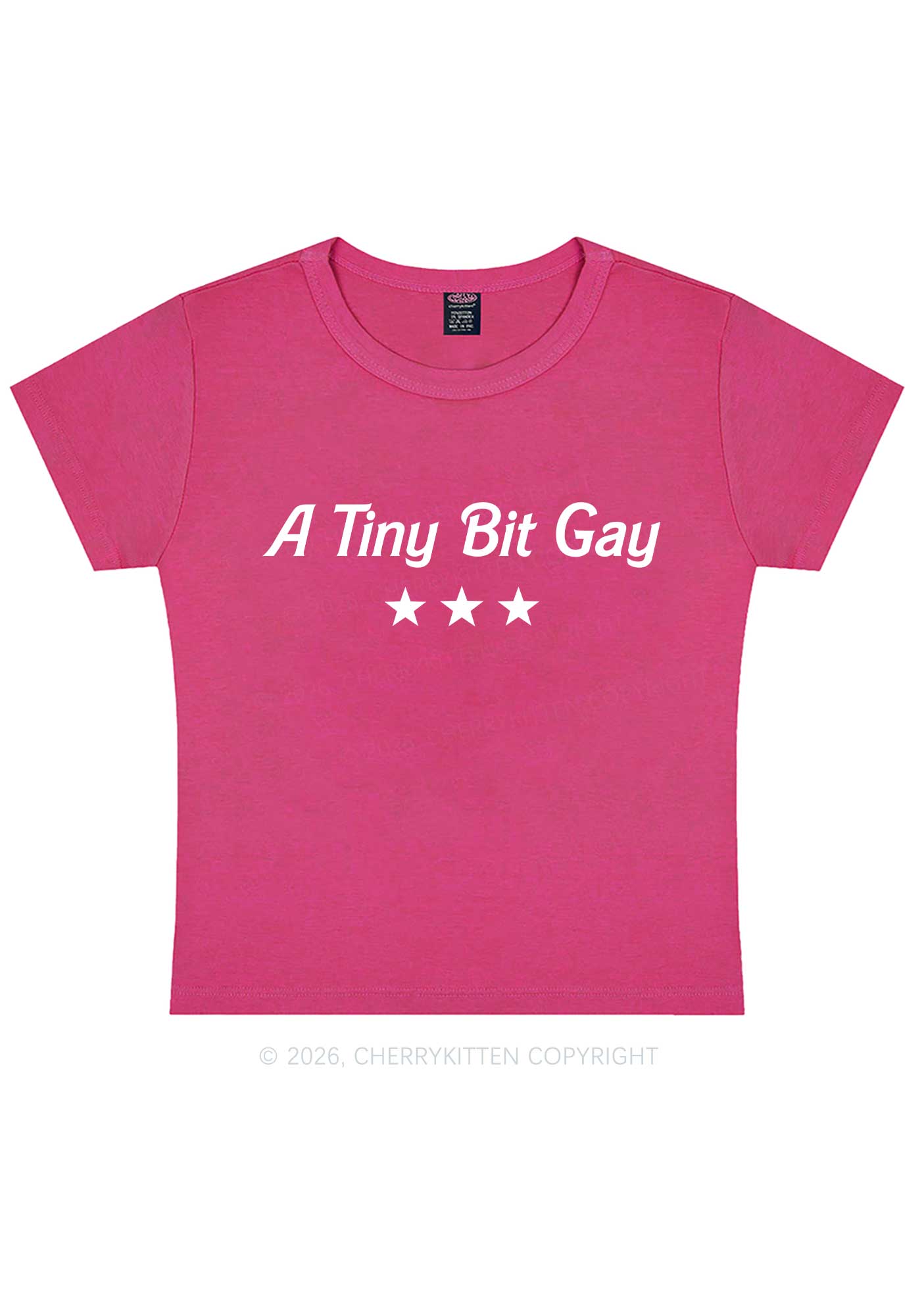 A Tiny Bit Gay Pride Y2K Baby Tee Cherrykitten