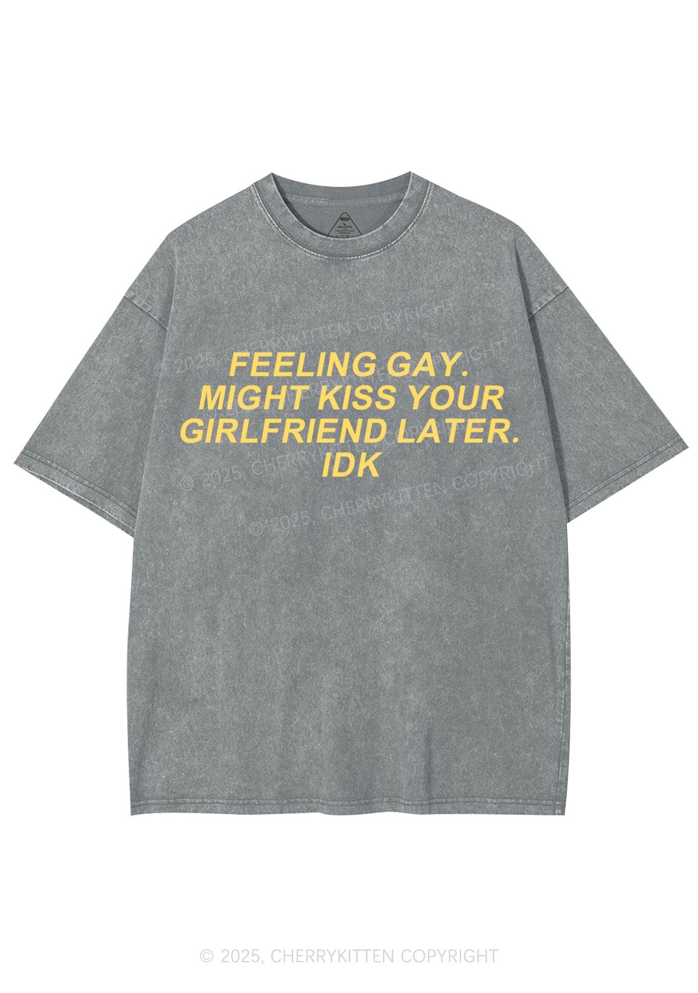 Kiss Your GF Later Pride Y2K Shirts Washed Tee Cherrykitten