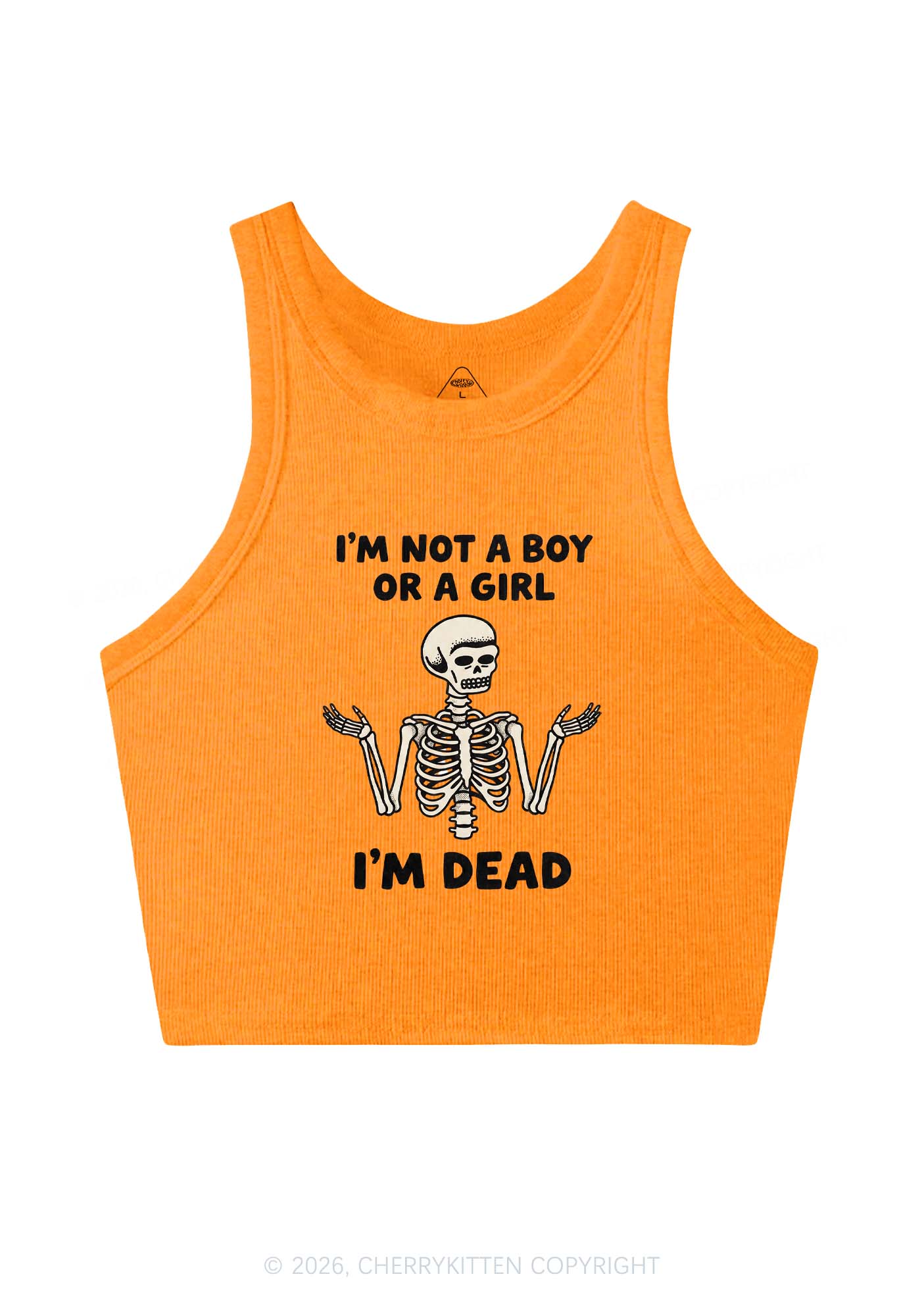 Im Not A Boy Or A Girl Pride Y2K Crop Tank Top Cherrykitten