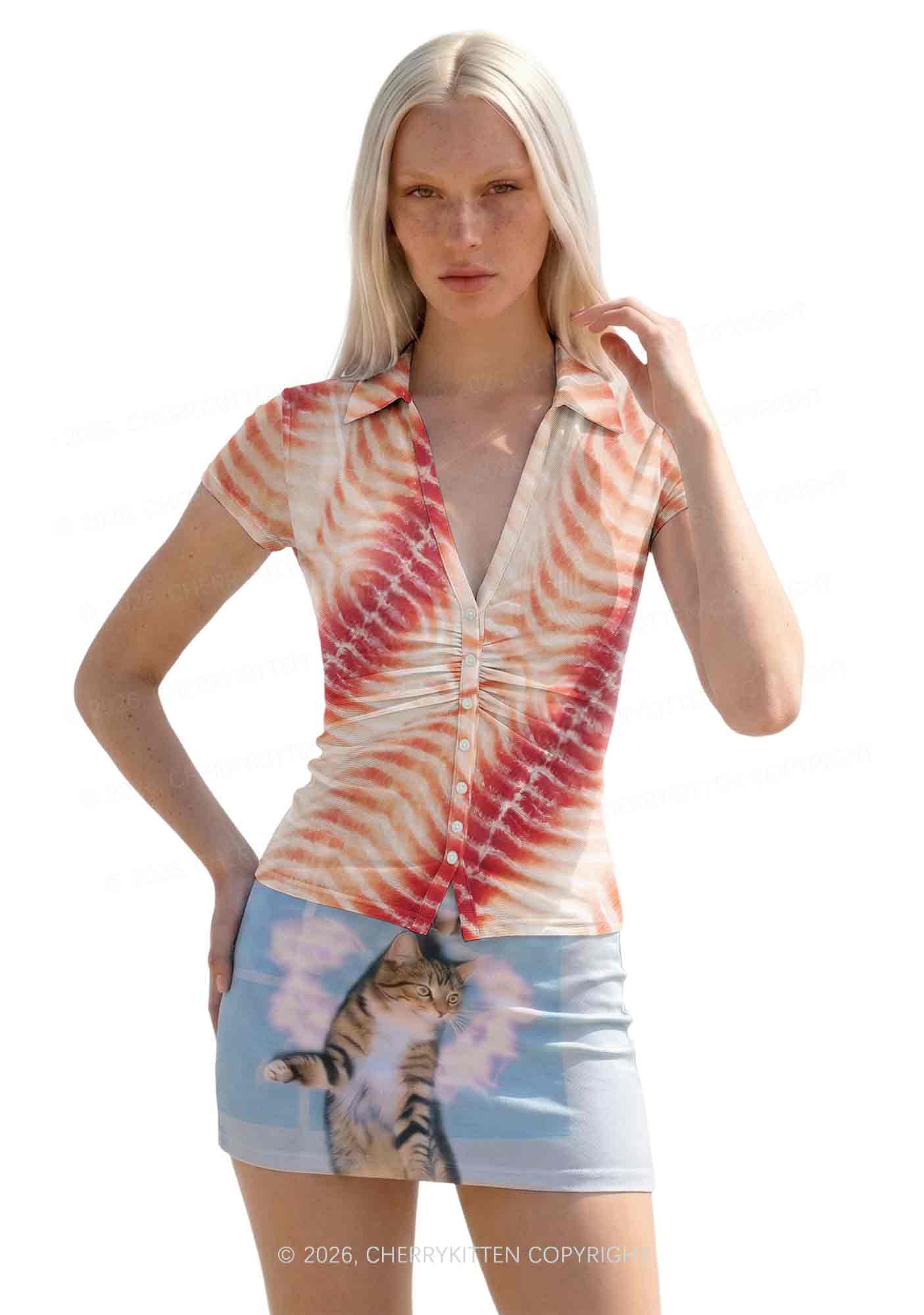 Pork Belly Texture Y2K Mesh Ruched  Waist  V Neck Top Cherrykitten