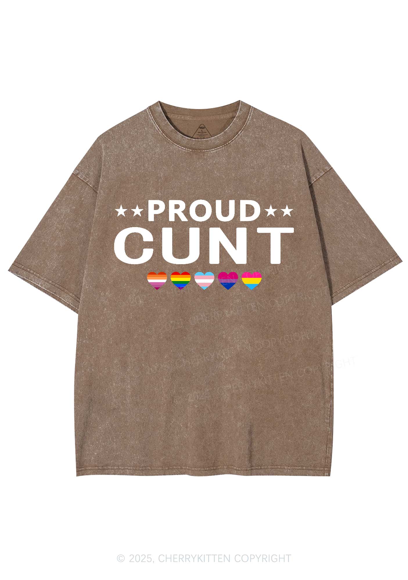 Proud Cxxt Pride Y2K Shirts Washed Tee Cherrykitten