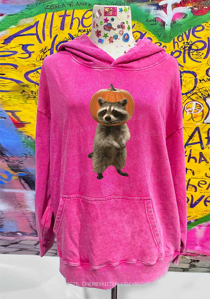 Halloween Silly Raccoon Y2K Washed Hoodie Cherrykitten